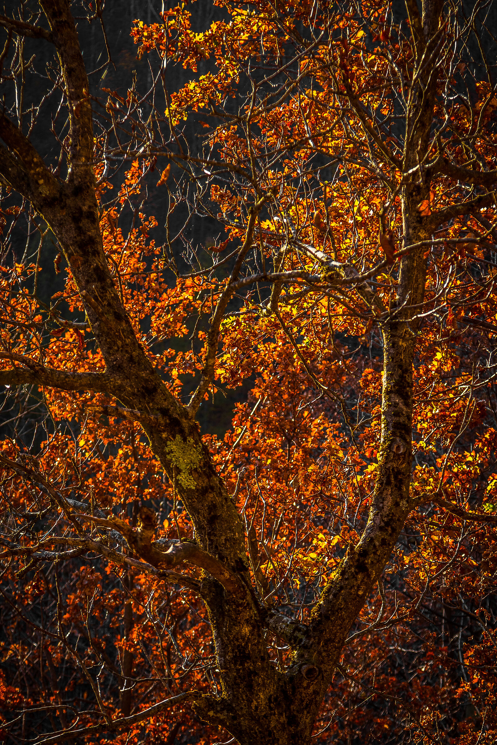 the sun falls, the colors warm up