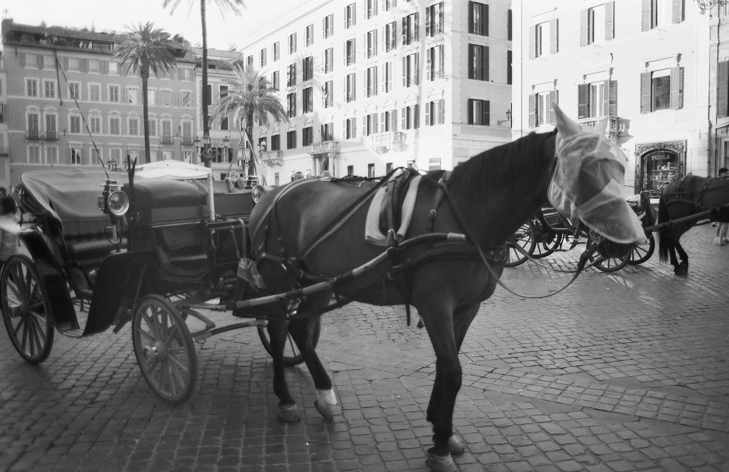 Carrozza in Piazza di Spagna