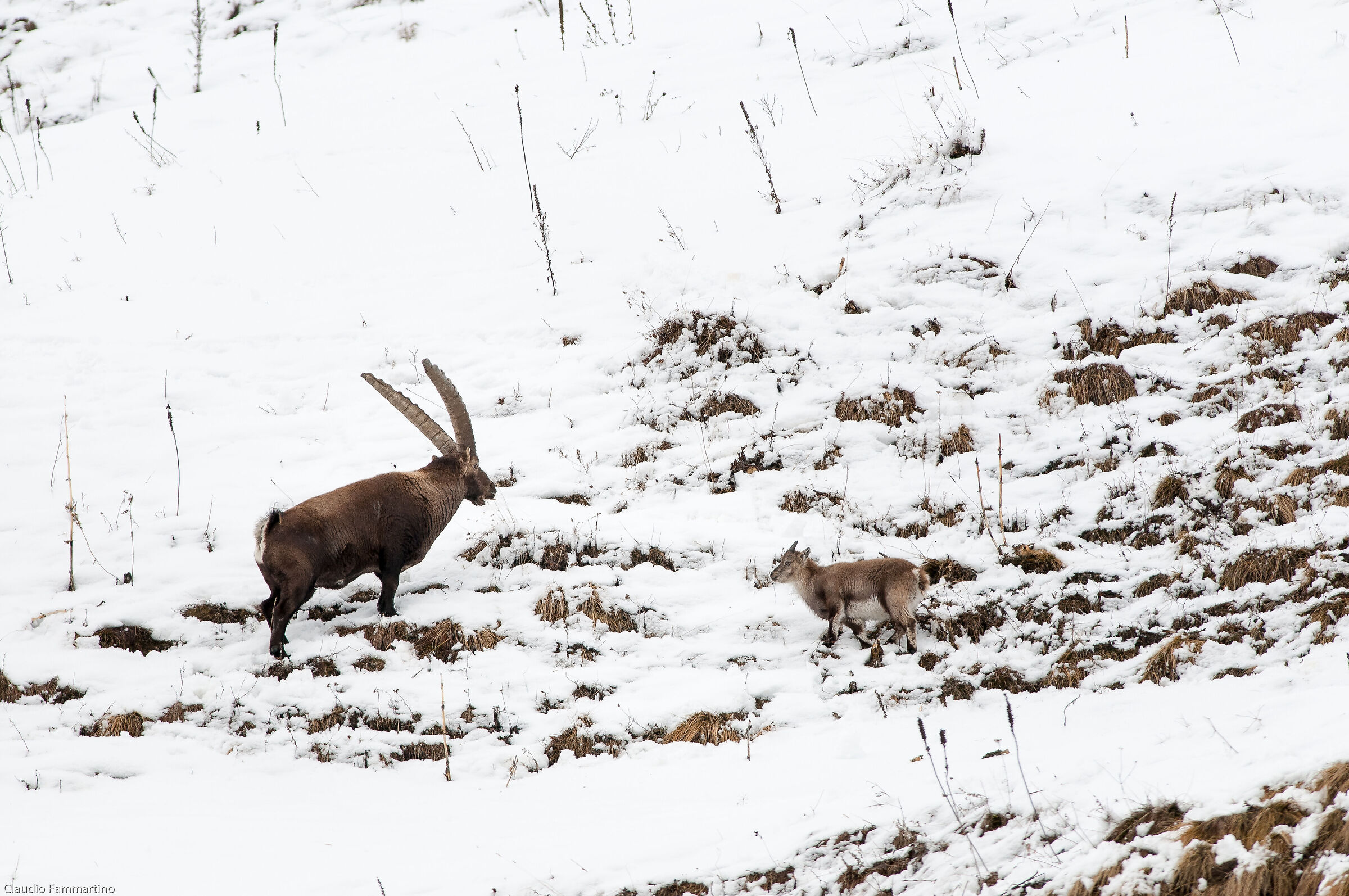 the old man and the child