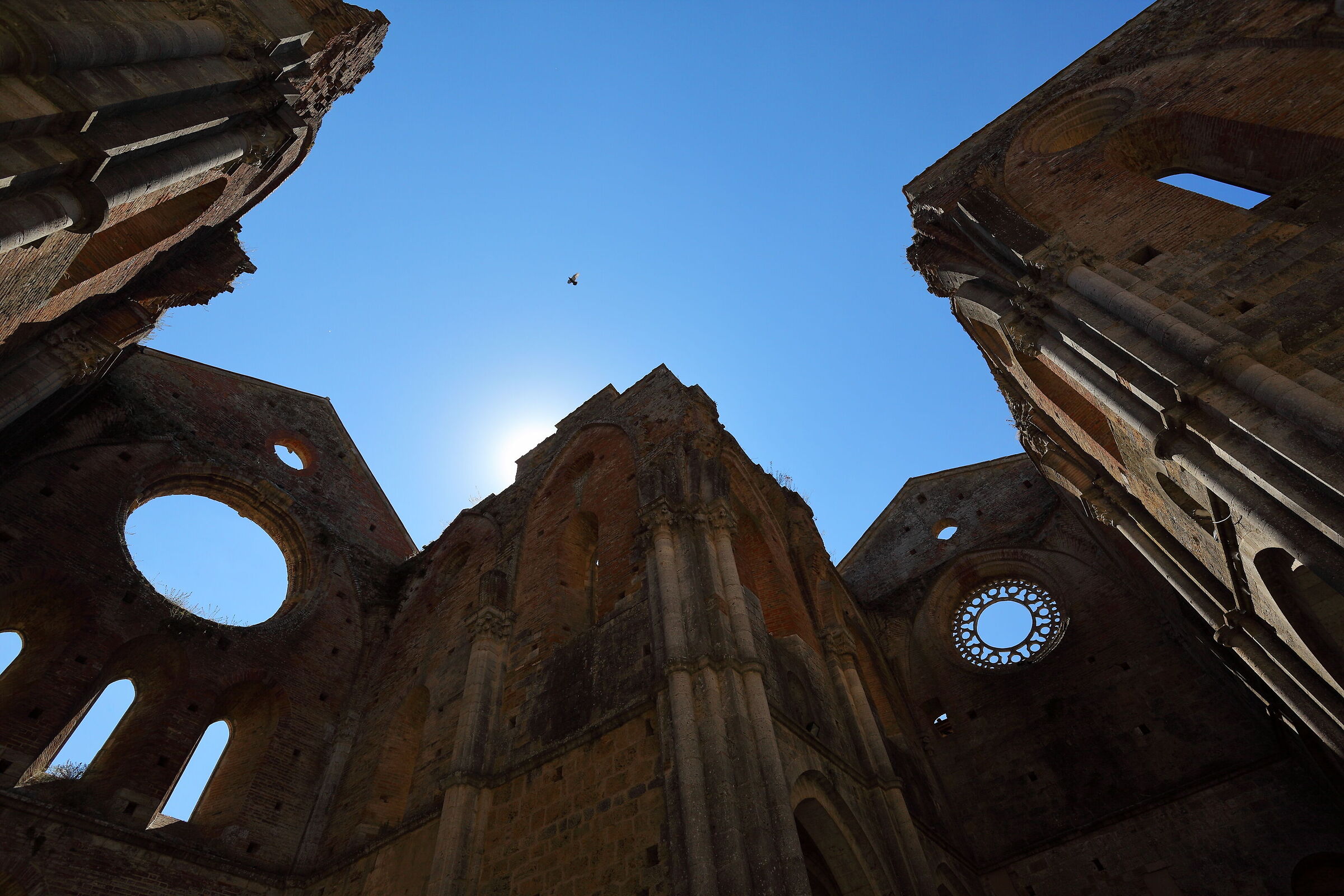 Transept of San Galgano