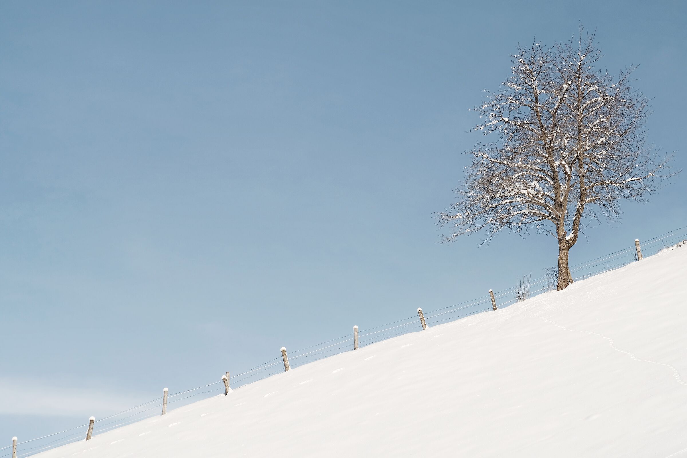 borders in Walchhorn