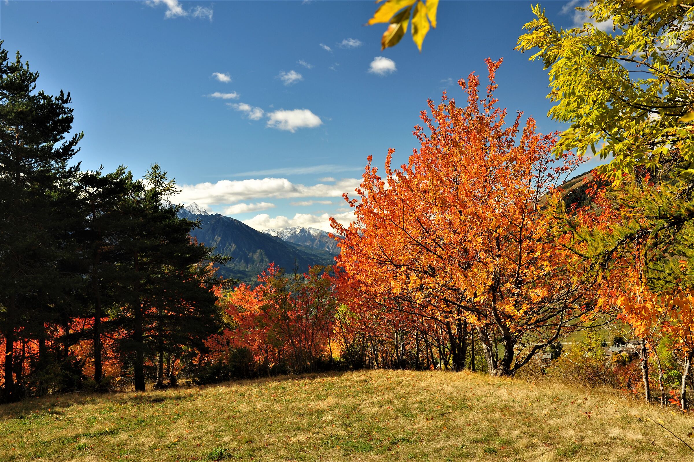 Nostalgia of Autumn (... and the Valley...)