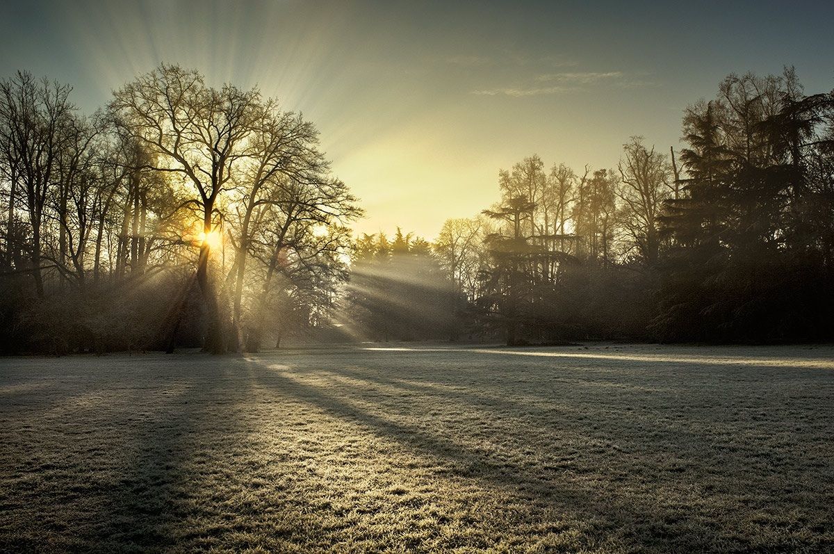 Alba nel parco