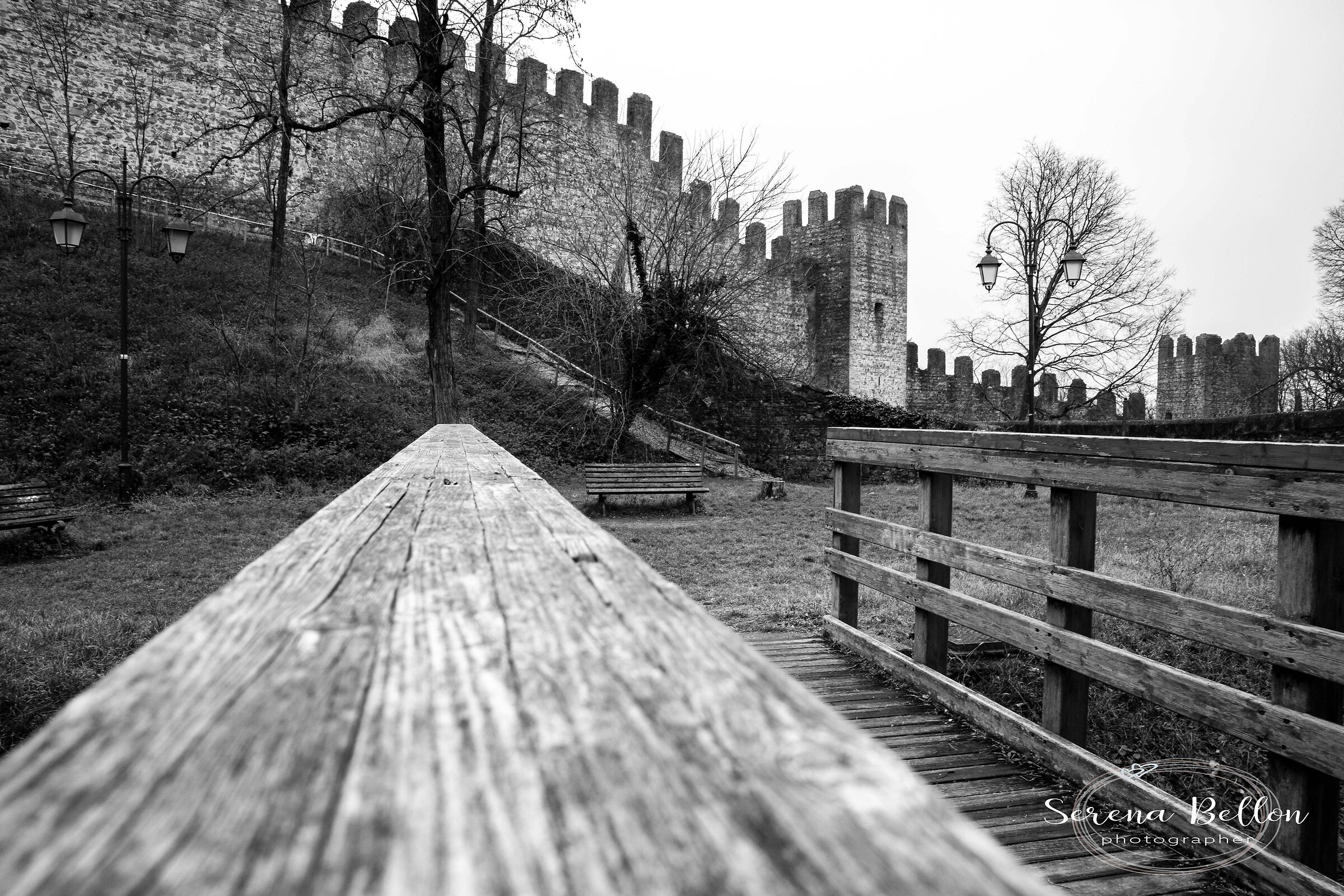 castello dei carraresi