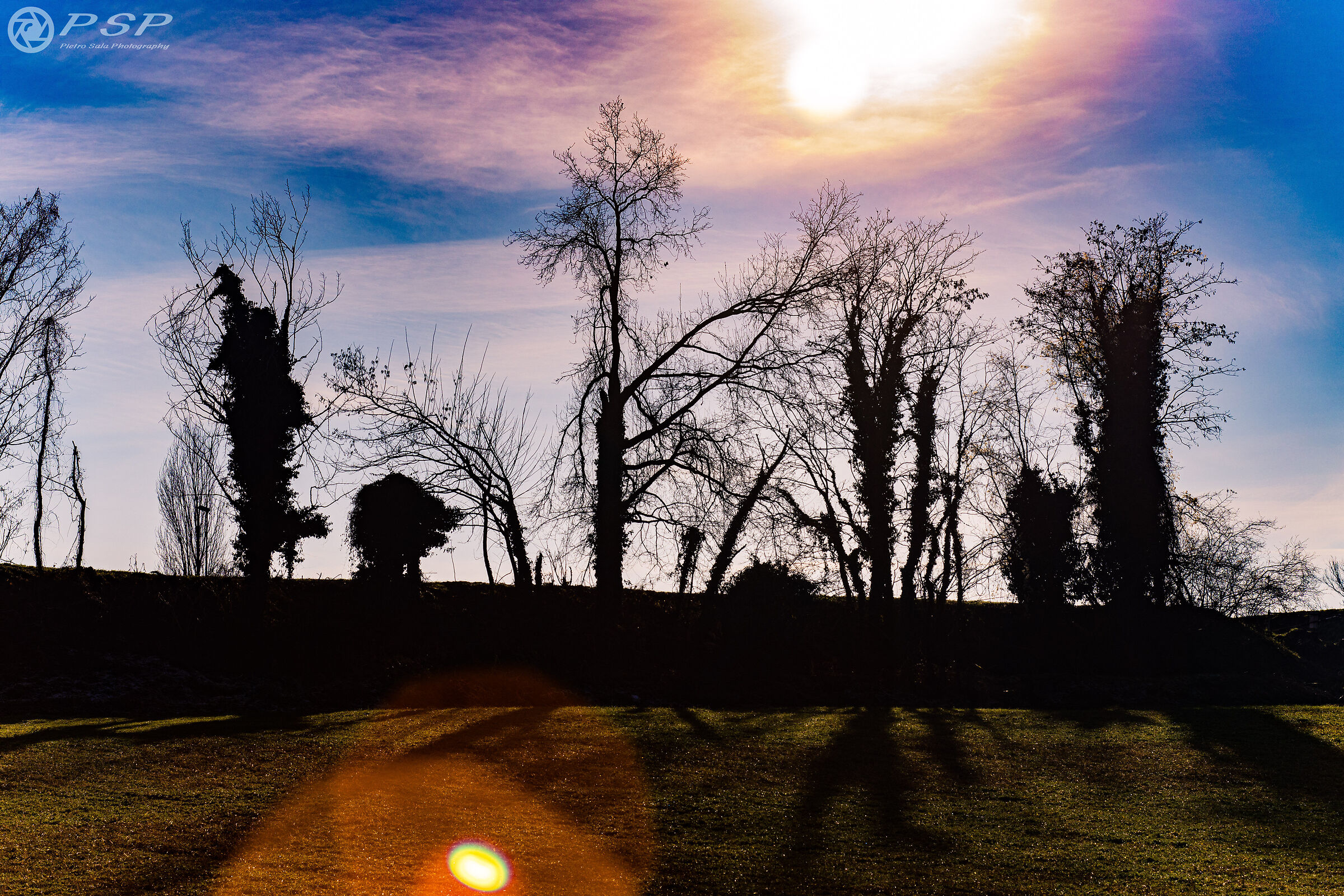 Praised lights and shadows