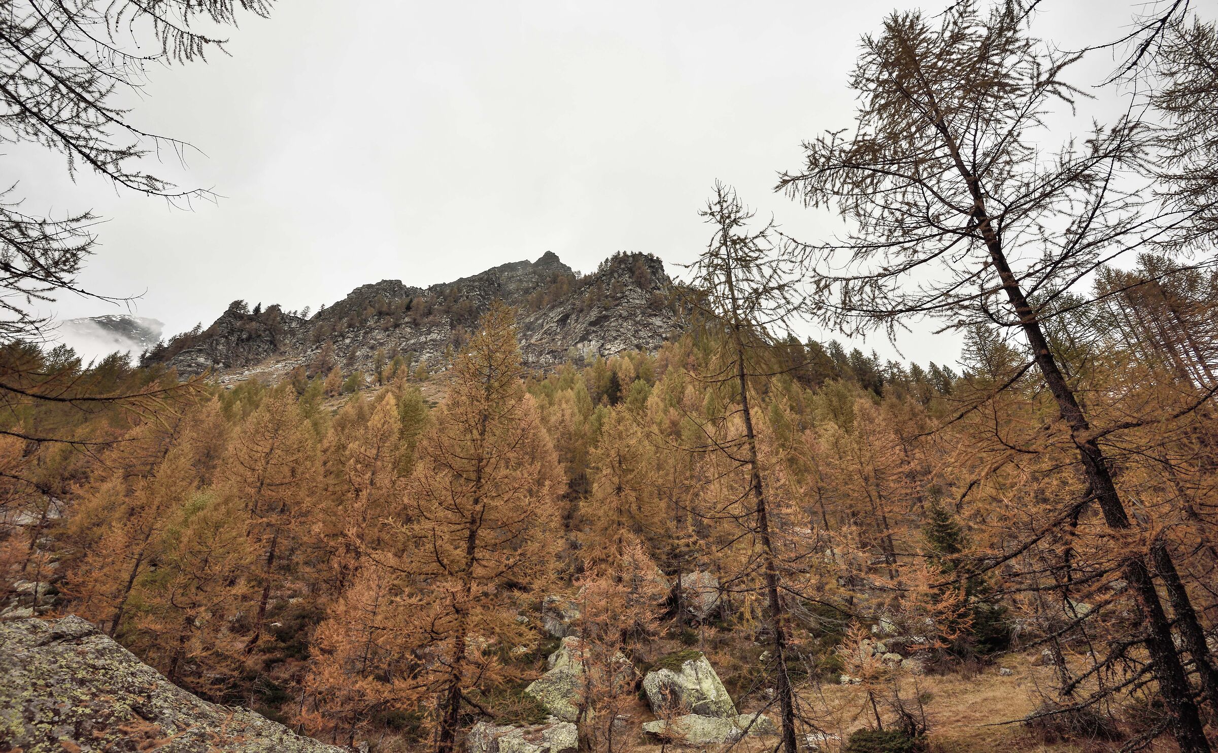 Alpe Devero - salendo verso Crampiolo