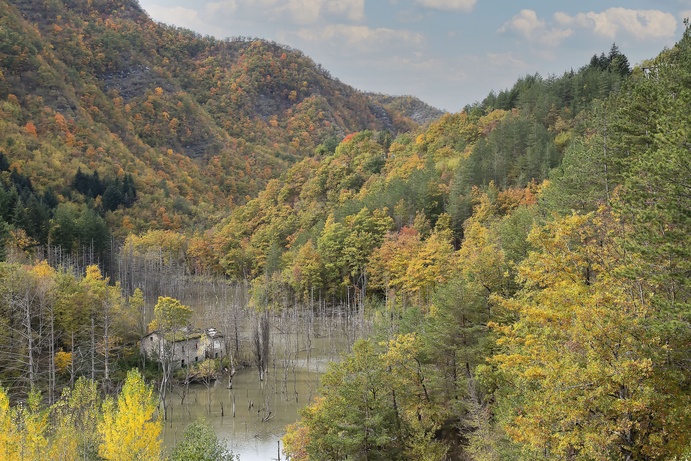 The Colors of Autumn in casentino