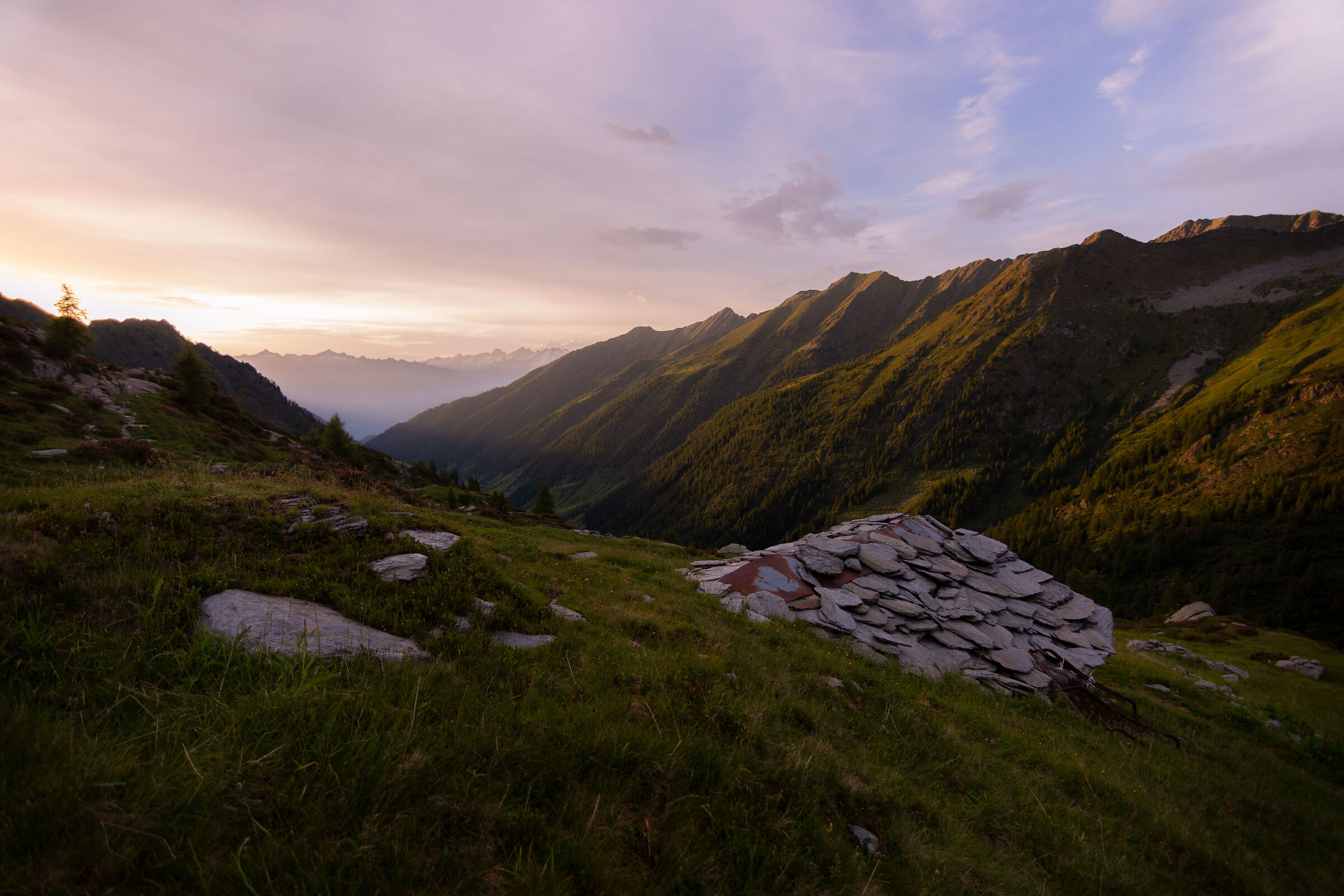 Last rays of a summer evening