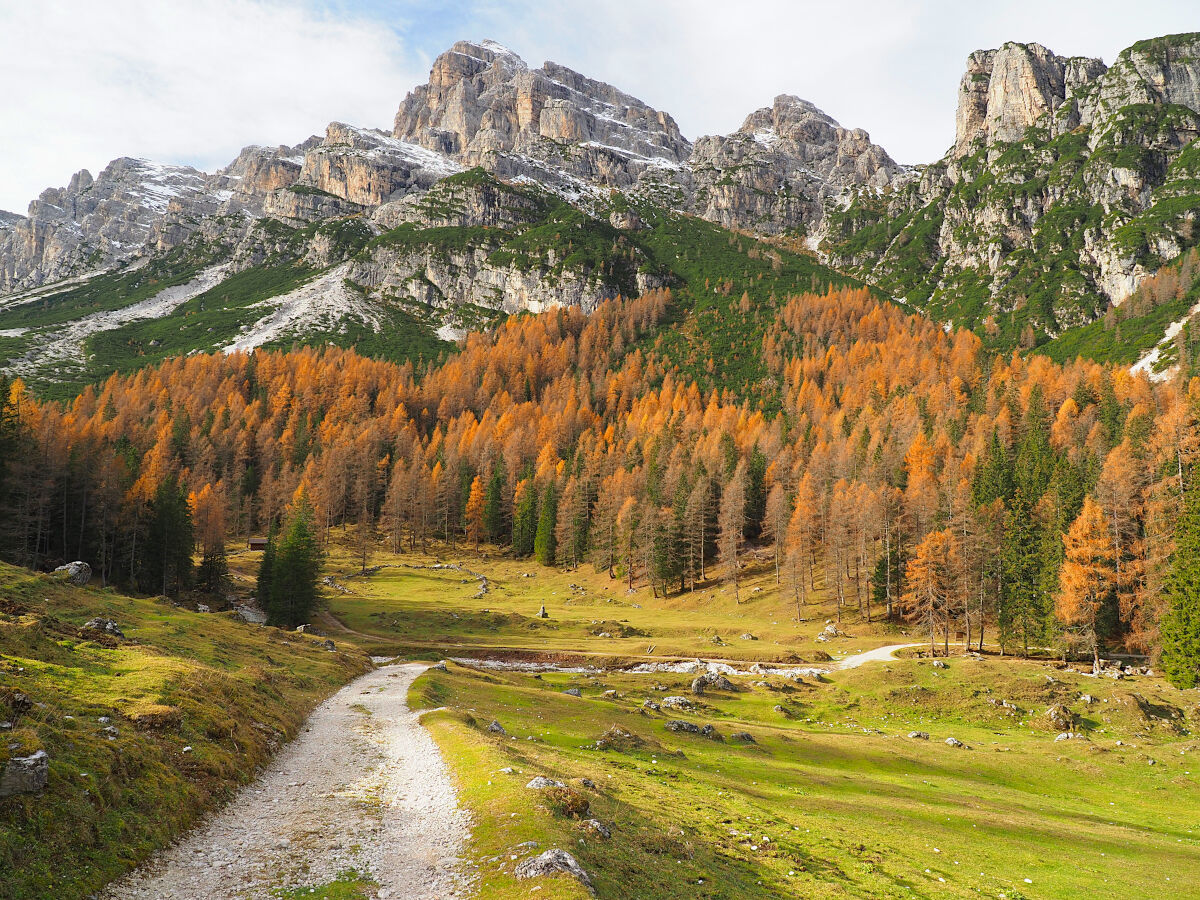 Nell'Eden...ricordi autunnali
