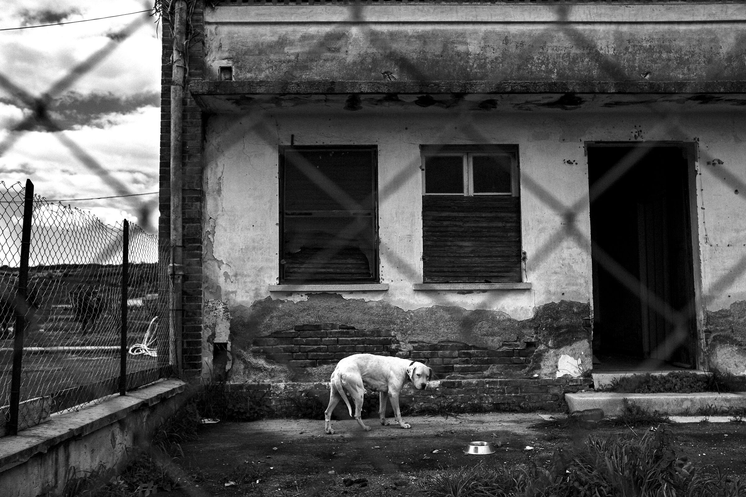 Another one bites the dust