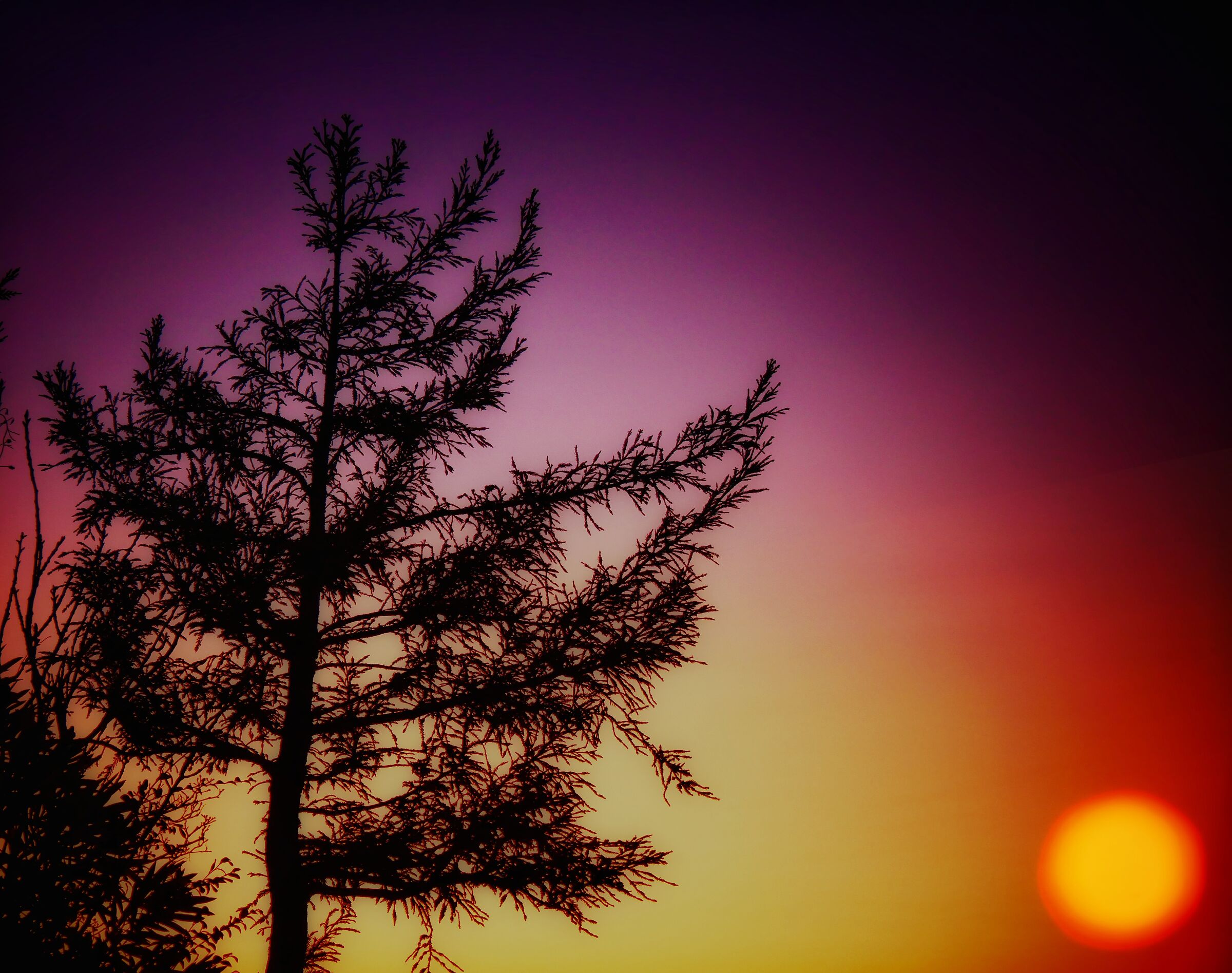 Una tavolozza di colori