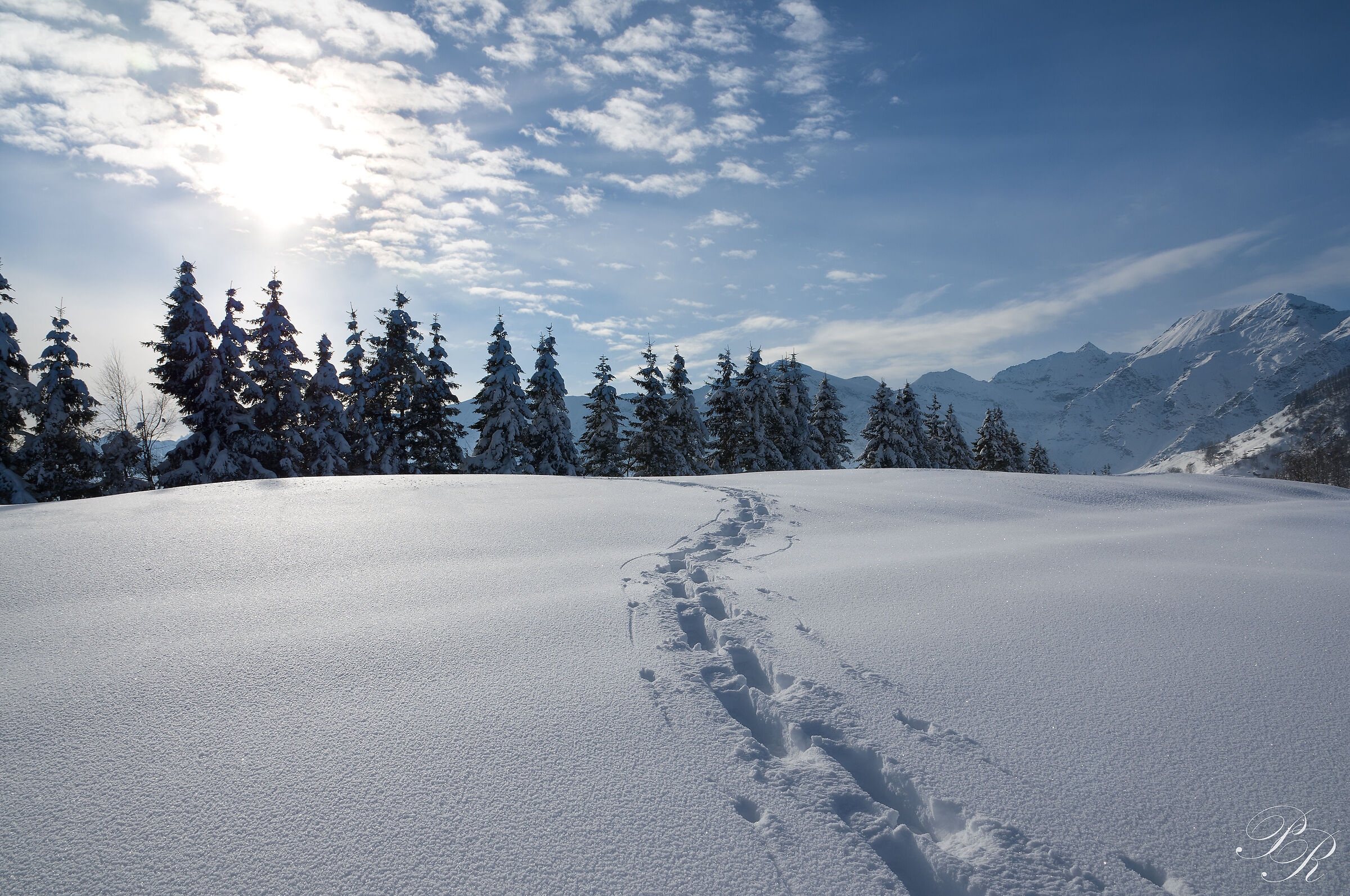 And I turned to look at my footsteps