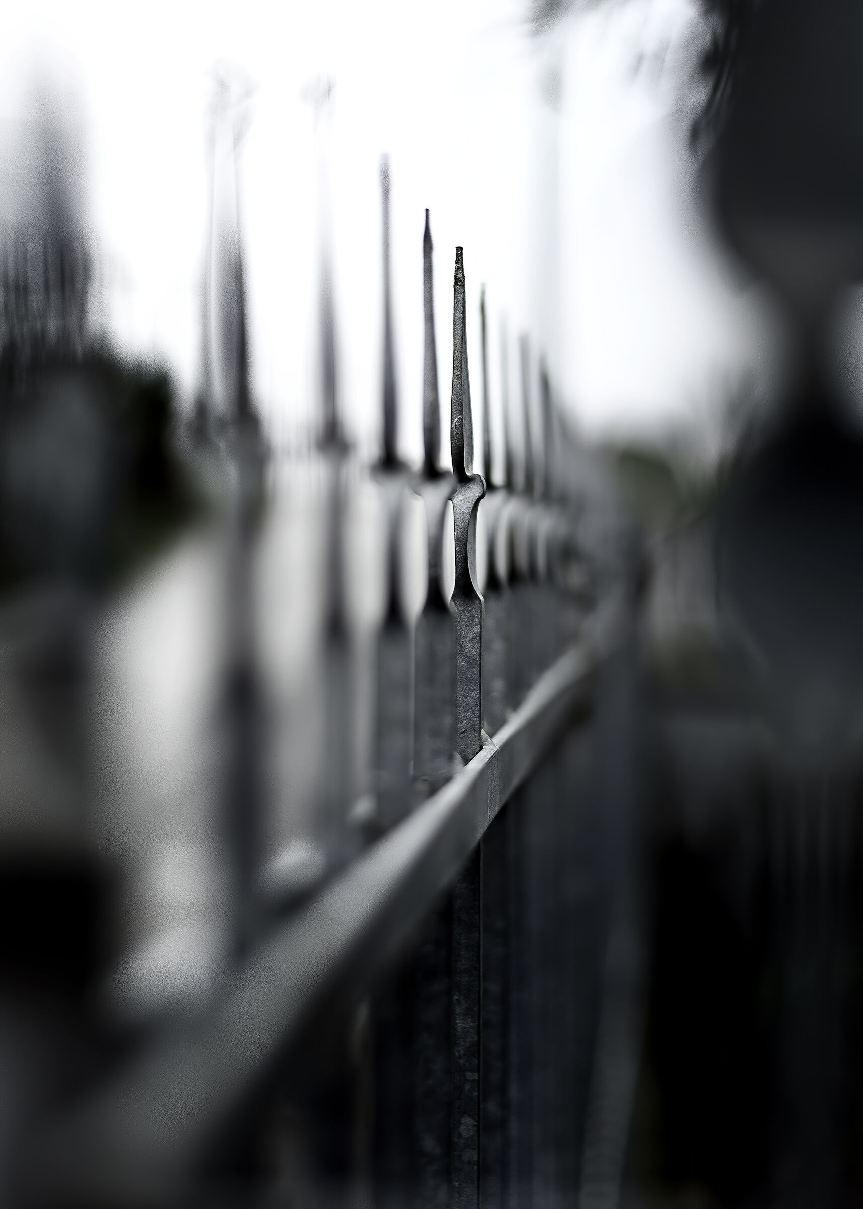 cancelli .......... covid