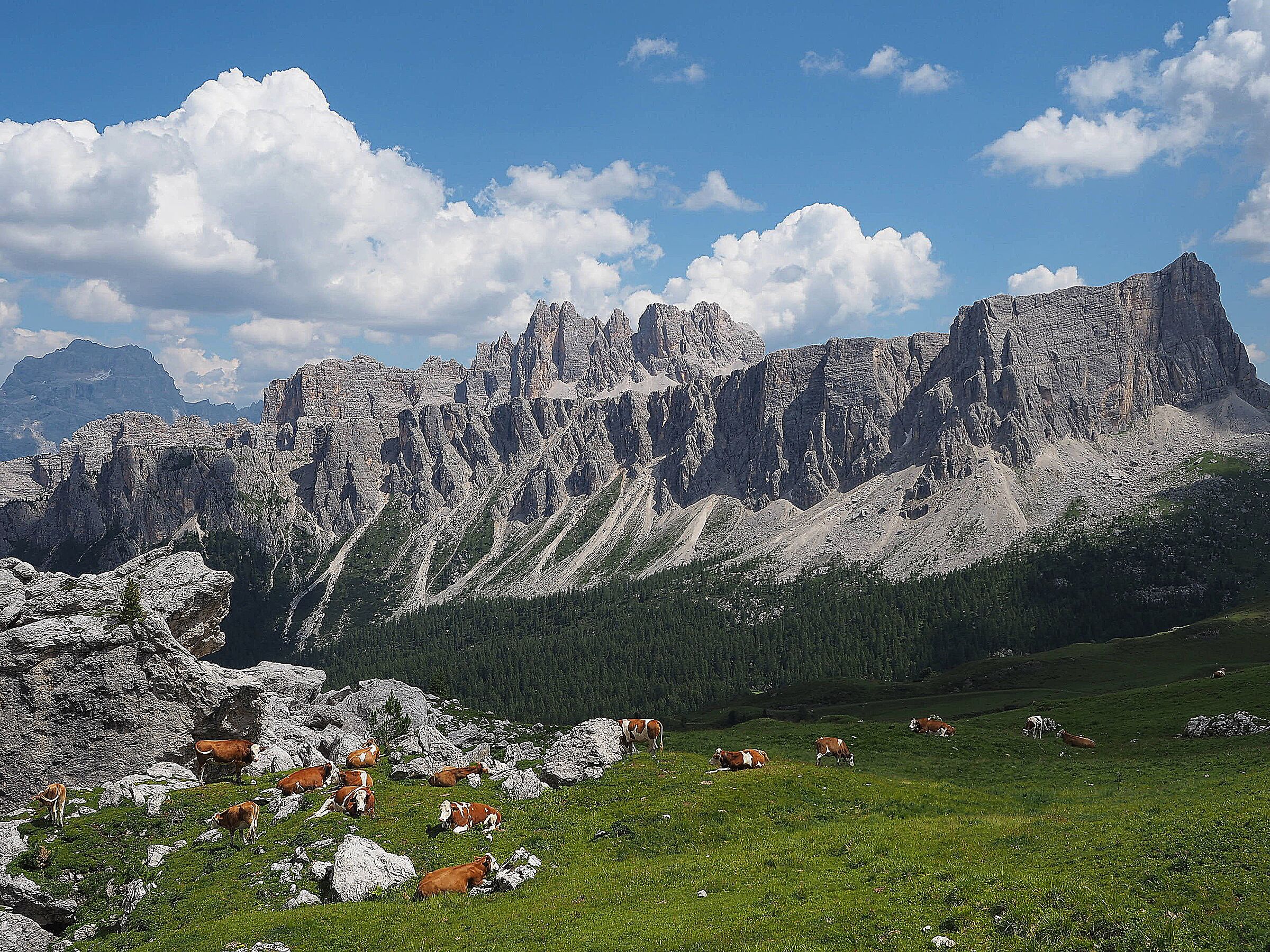 Dolomiti. Passo Giau.Spalle al Ra Gusela.