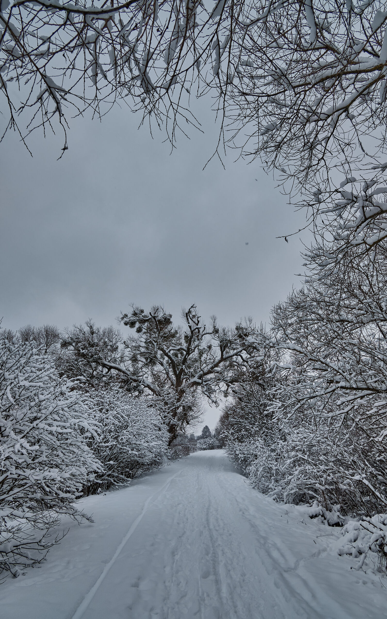 Winter road