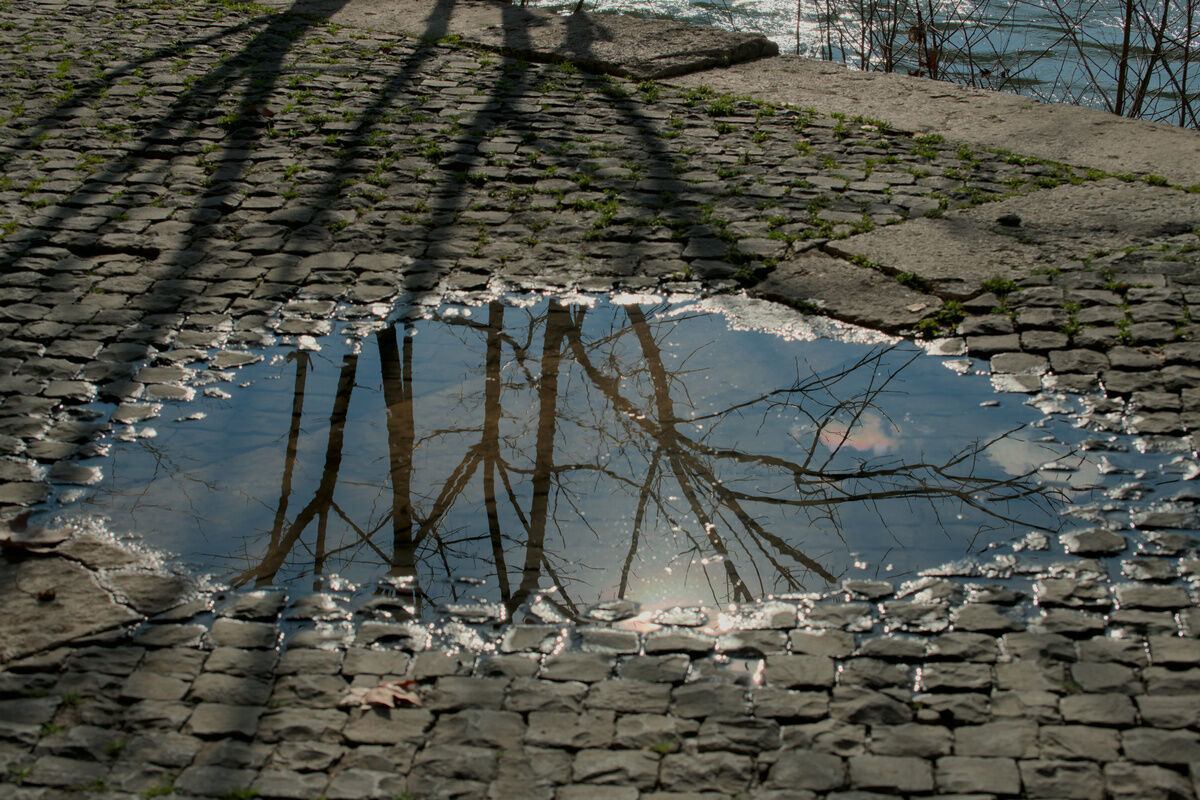 Il colore della tramontana.