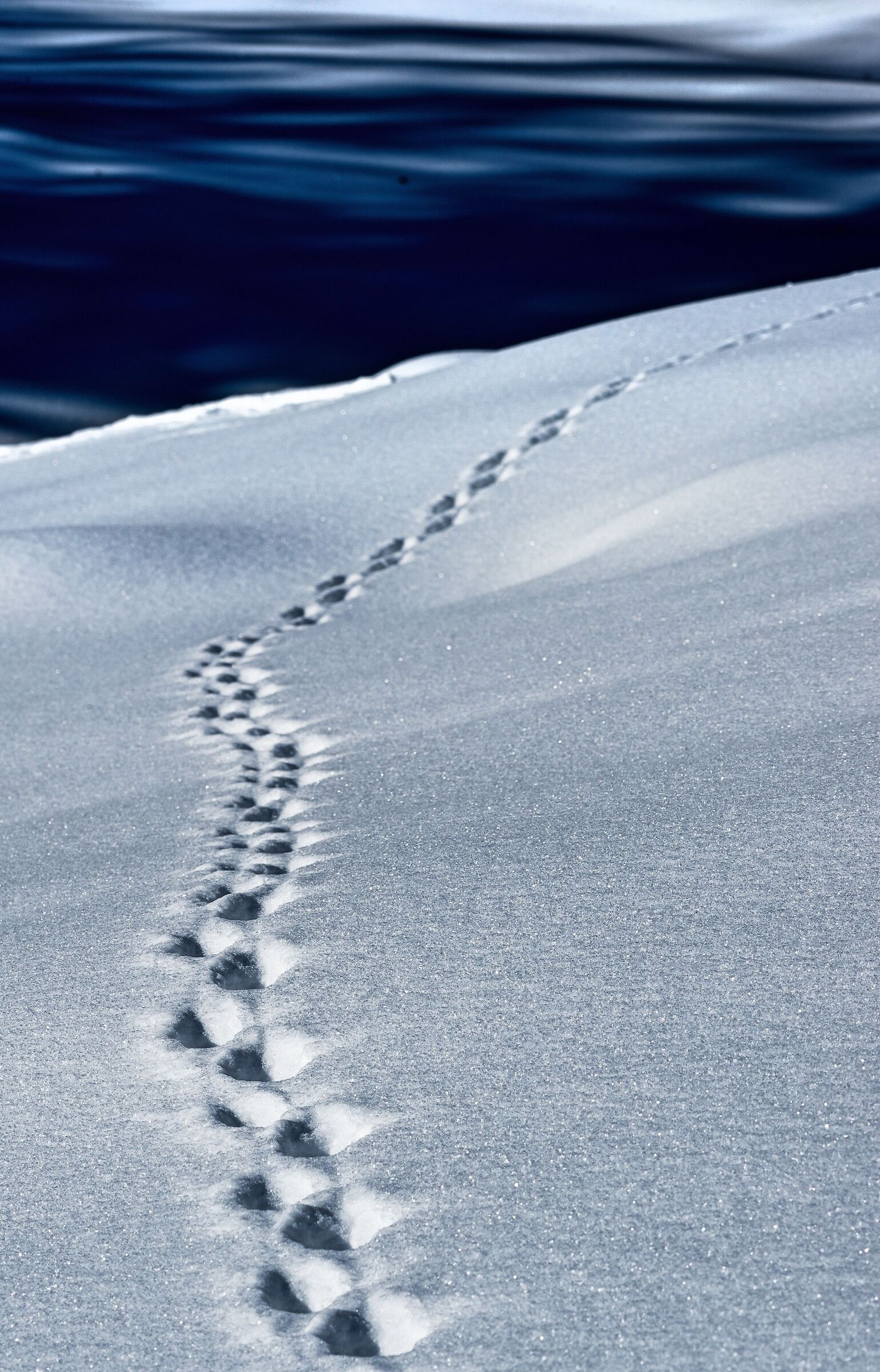 Footsteps