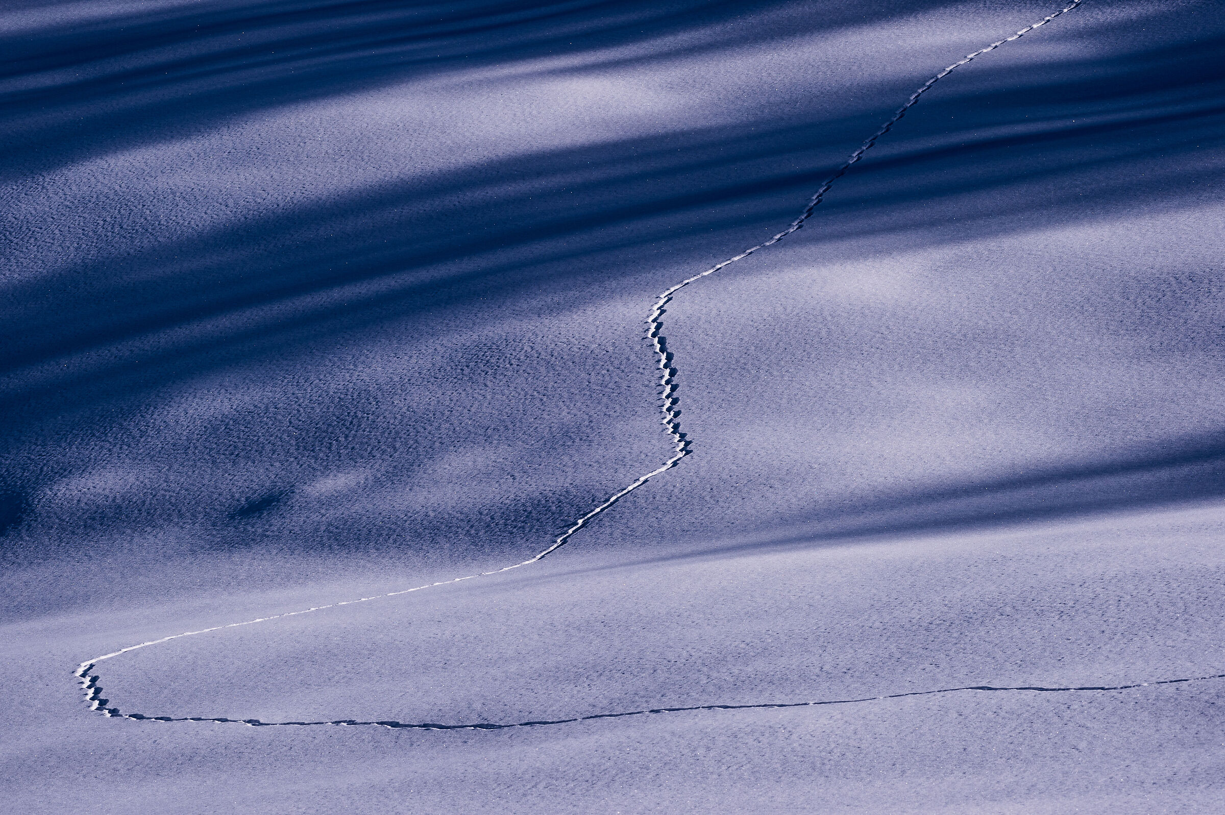 Footsteps