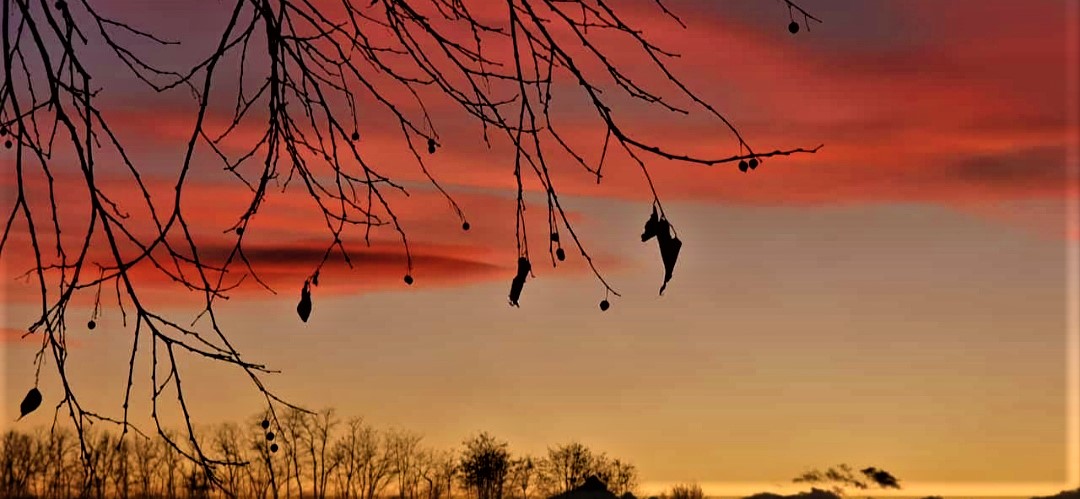 tramonto del 14.01.2021