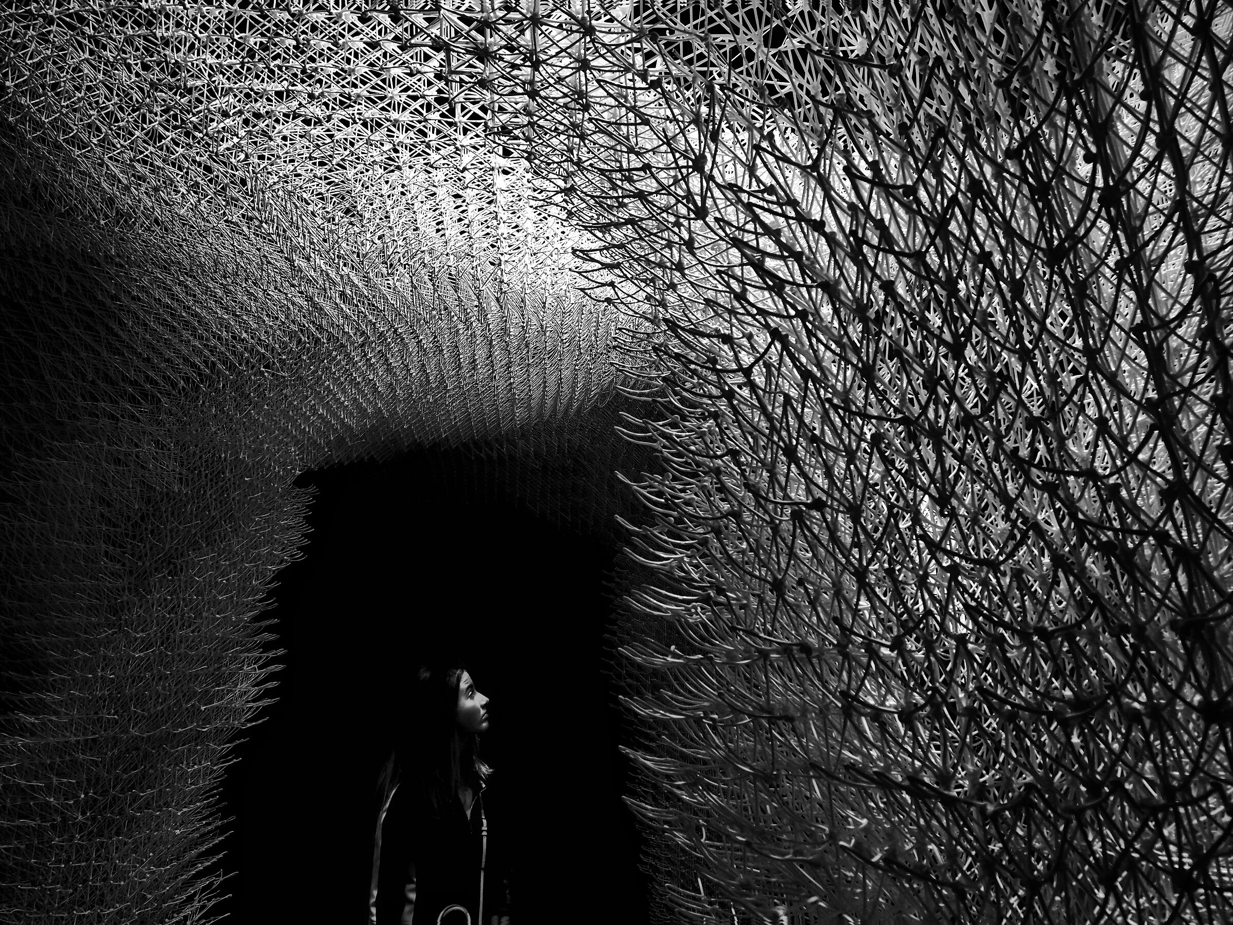 Biennale Architettura