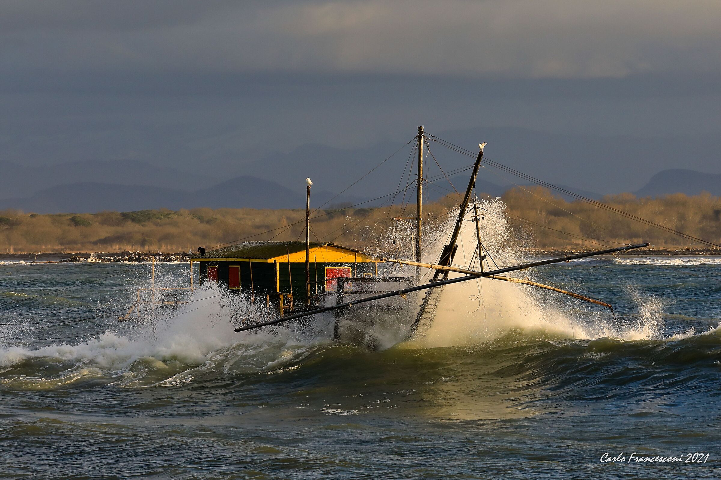 Splash..... Marina of Pisa