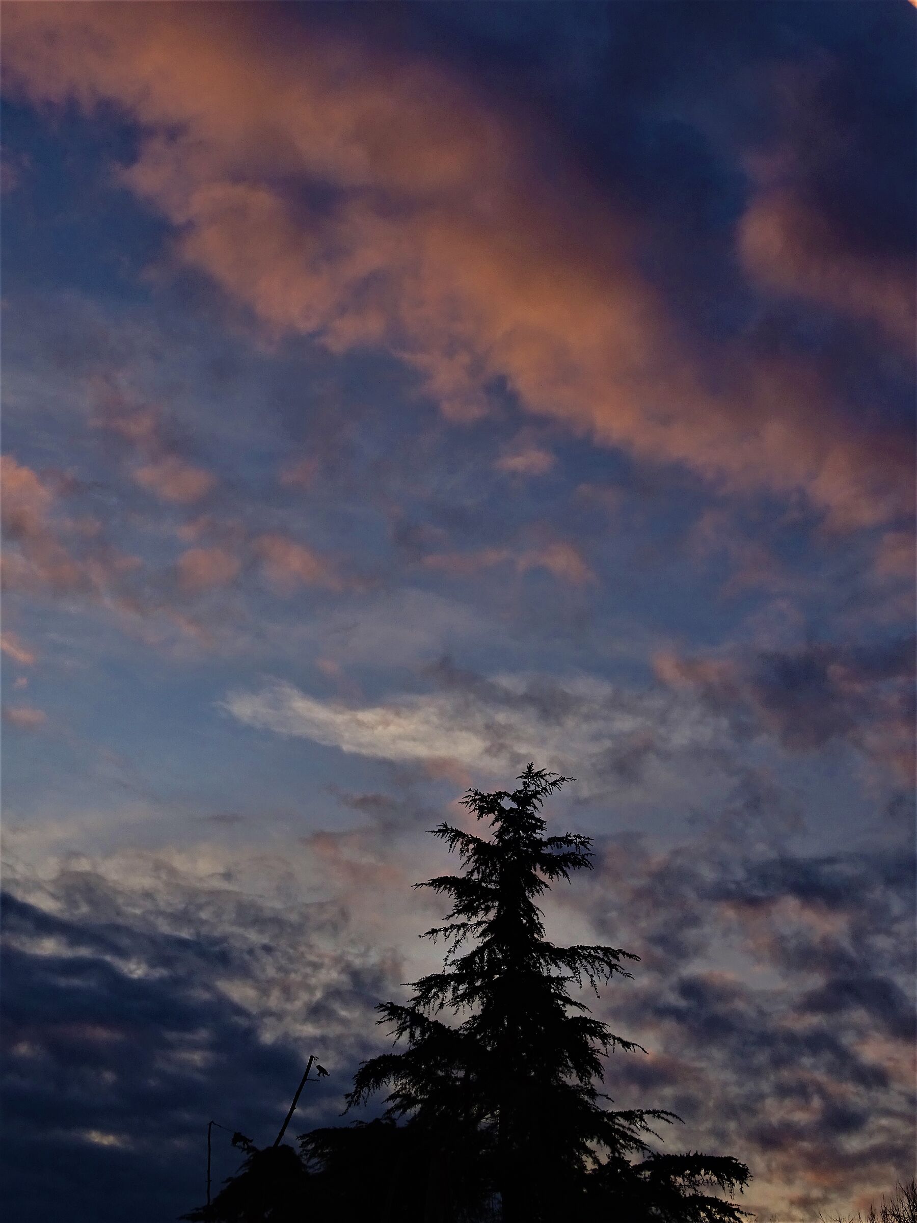 cielo alba 15.01.2021