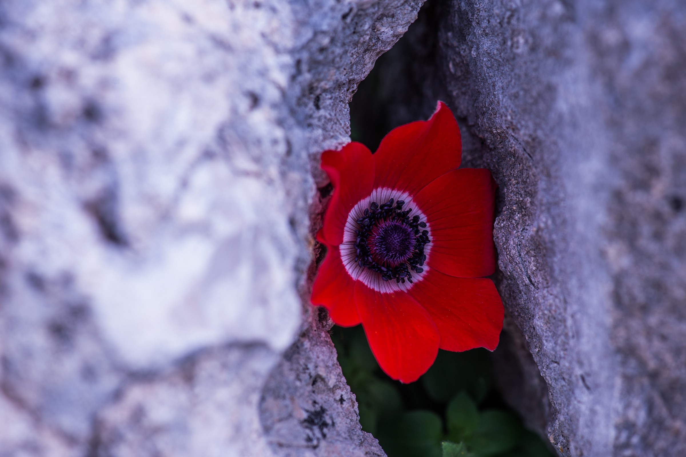 Trip South to Nature