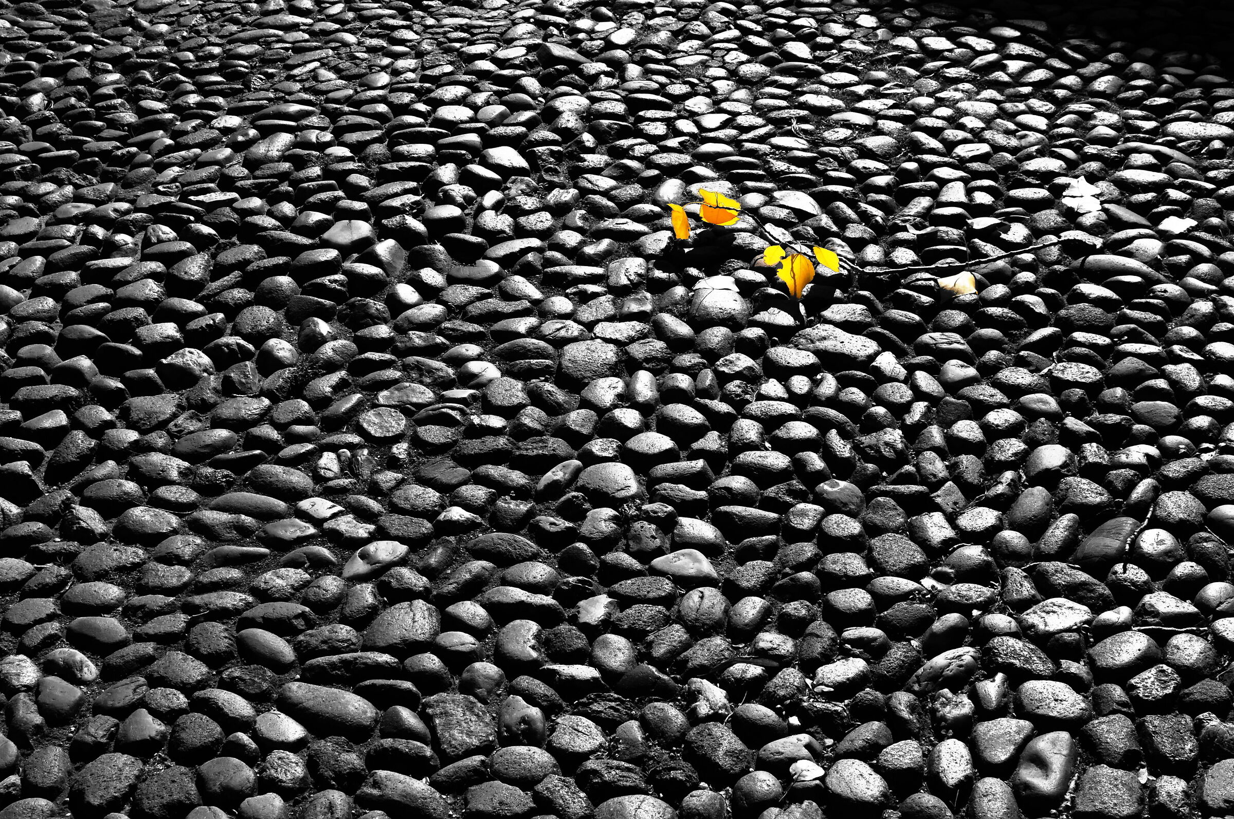 Autunno a Ferrara 02