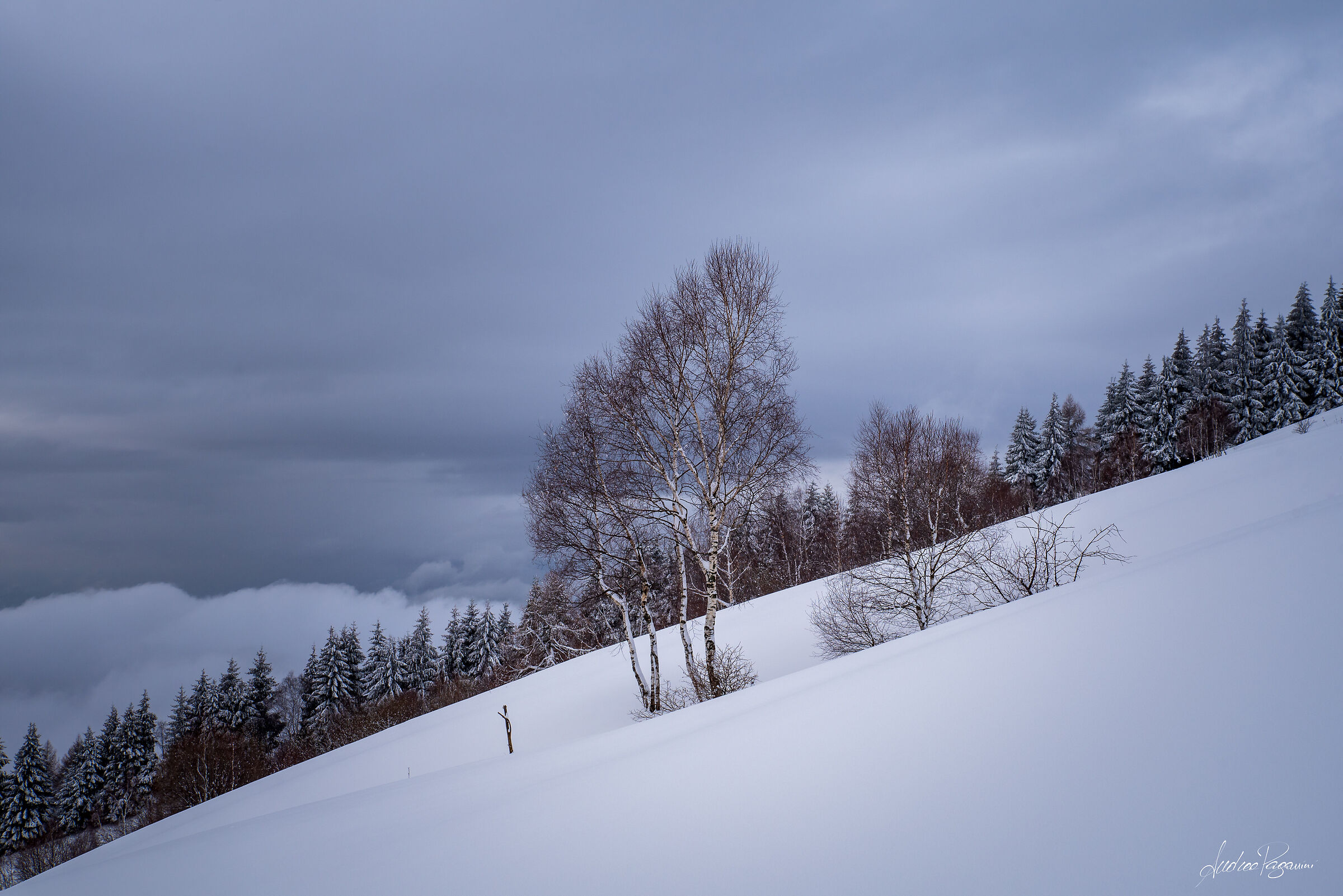 Mai vista tanta neve al Bolettone