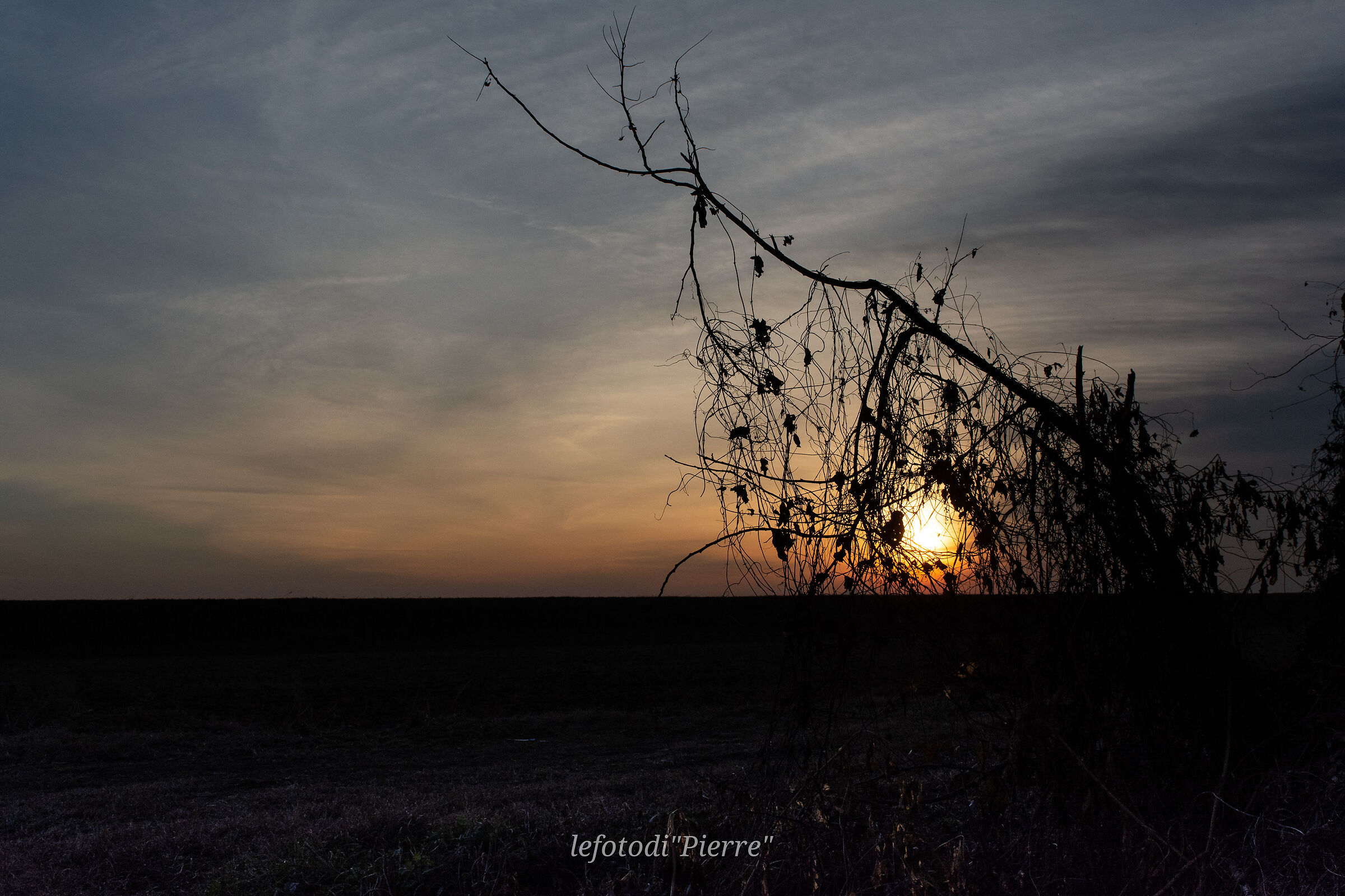 Tramonto sulle risaie
