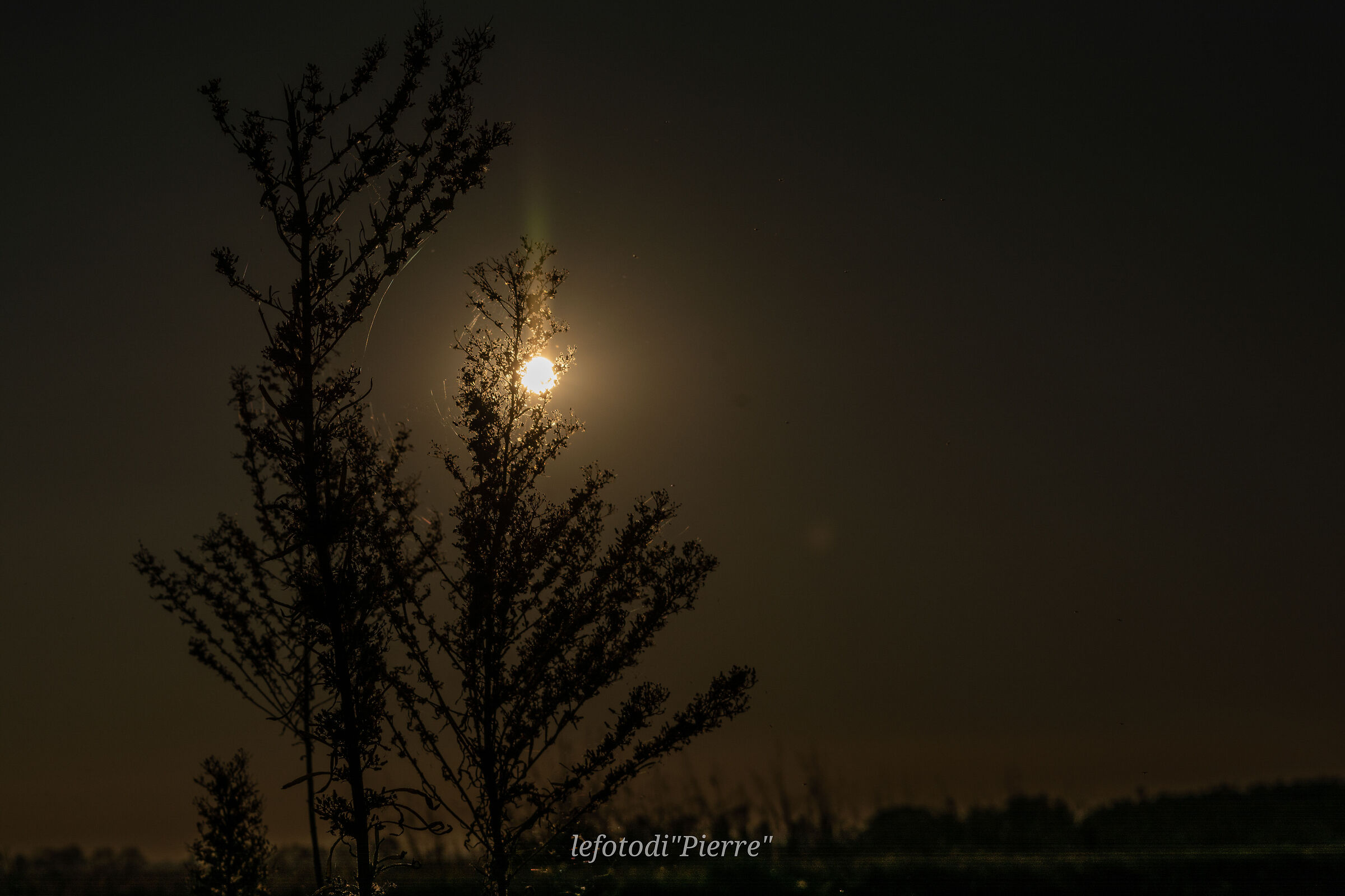 Winter light
