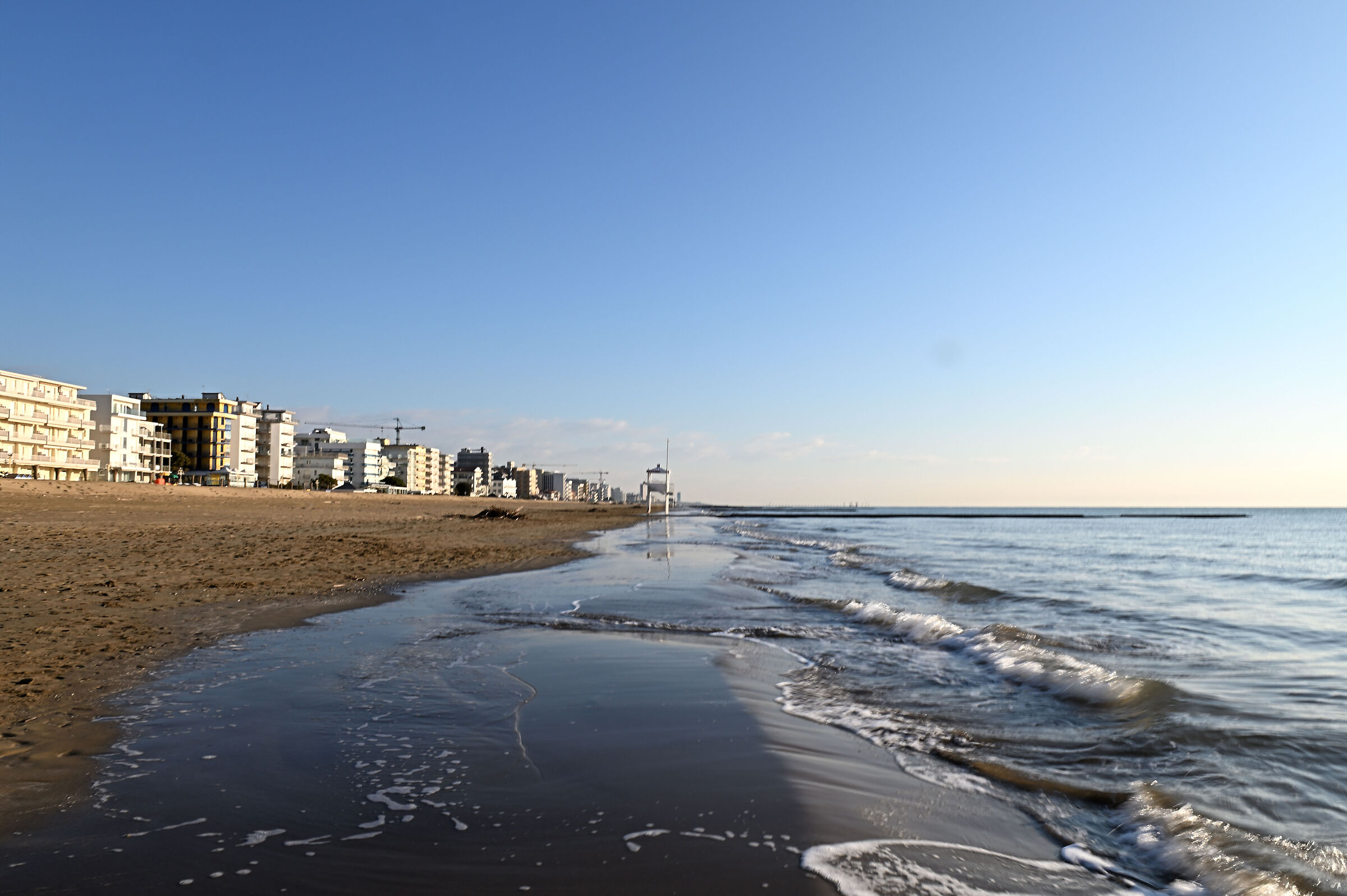 Sunny and lonely morning....