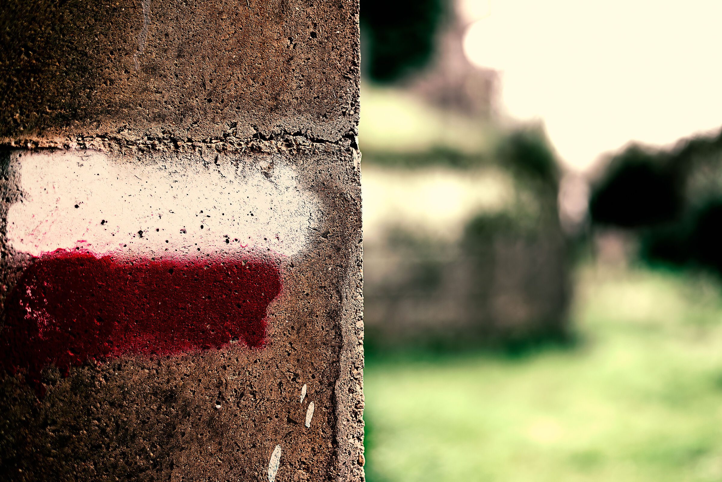 non so dove sbattere l'obbiettivo