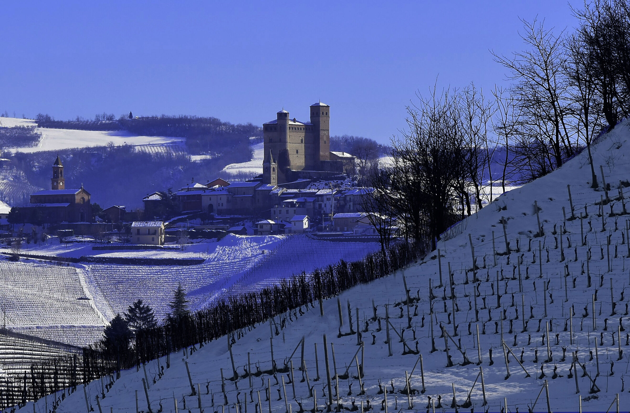 Castello di Serralunga d'Alba