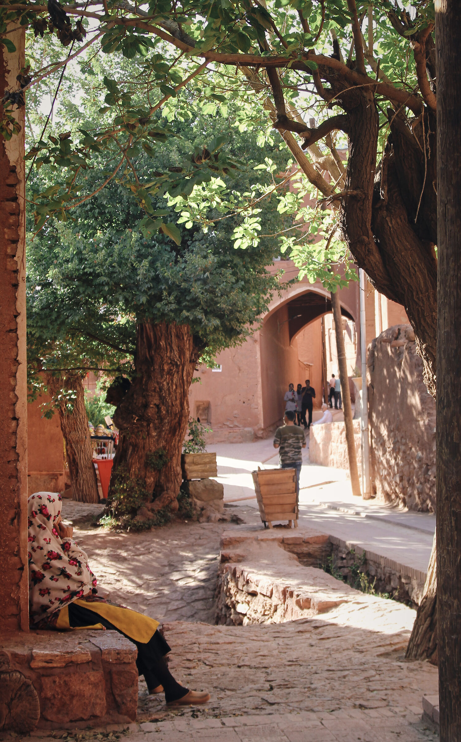 Woman in traditional dress in Abyaneh, Iran