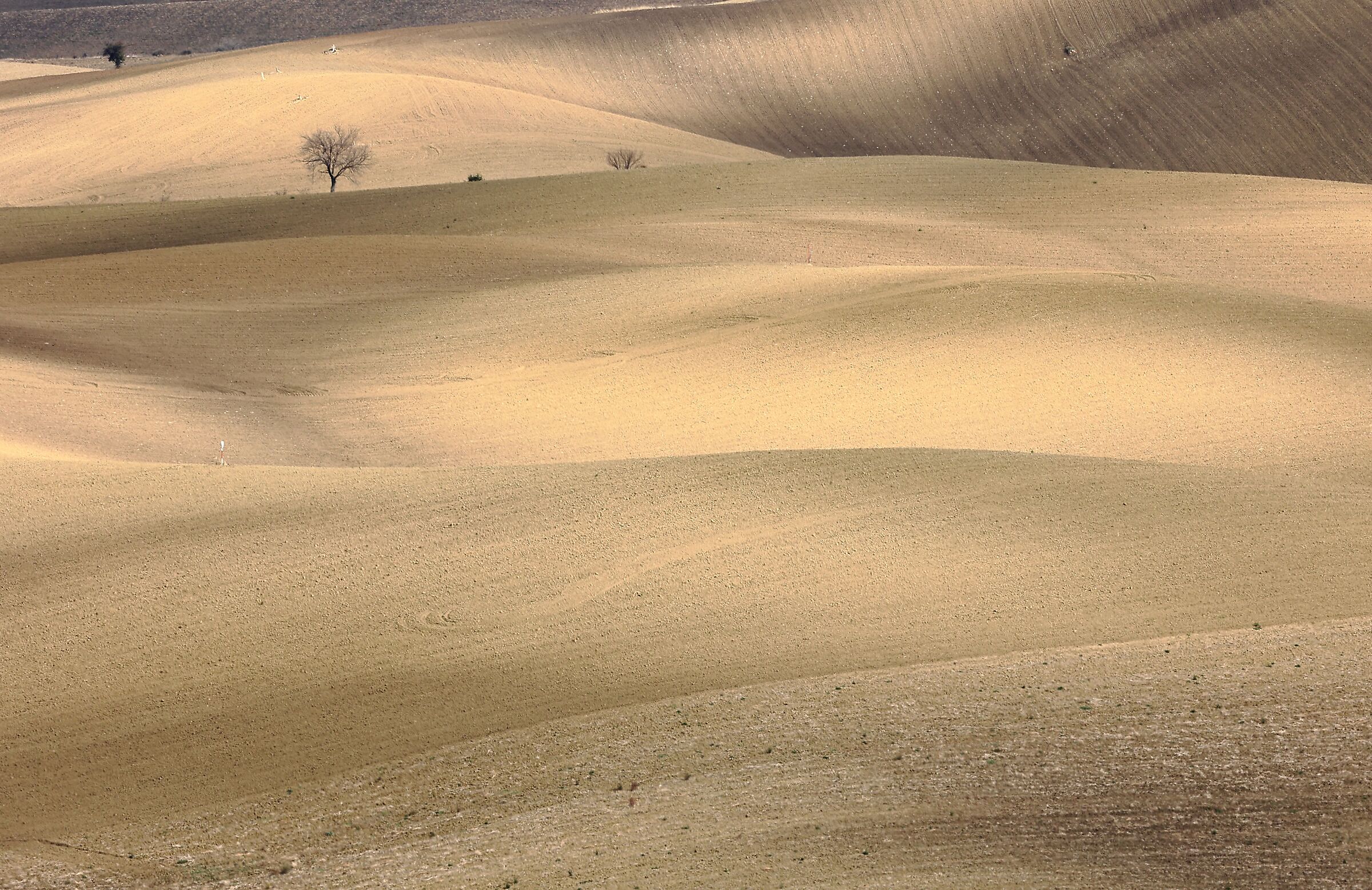 Deserto.....ops colline molisane