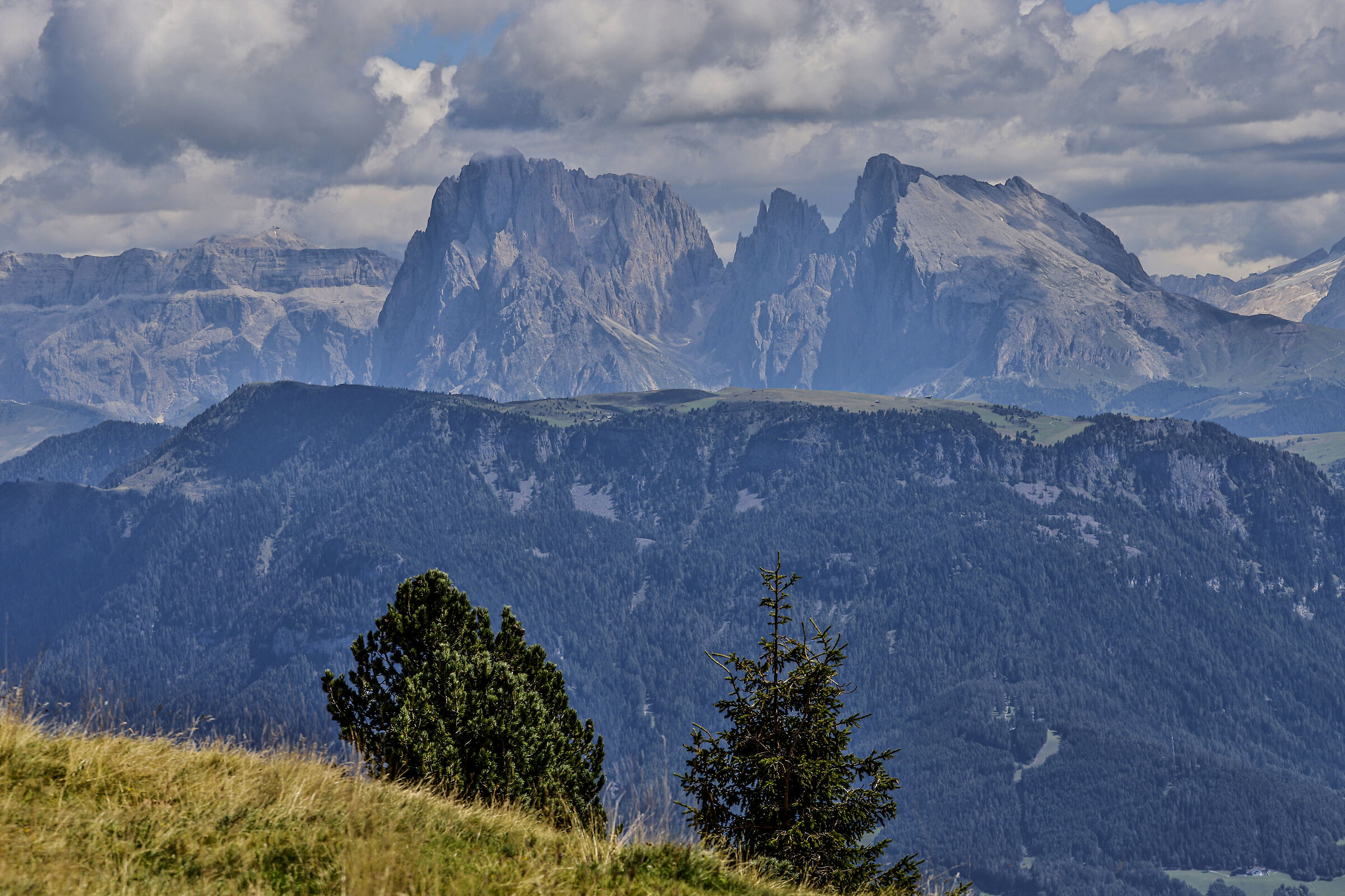 Dolomiti 2