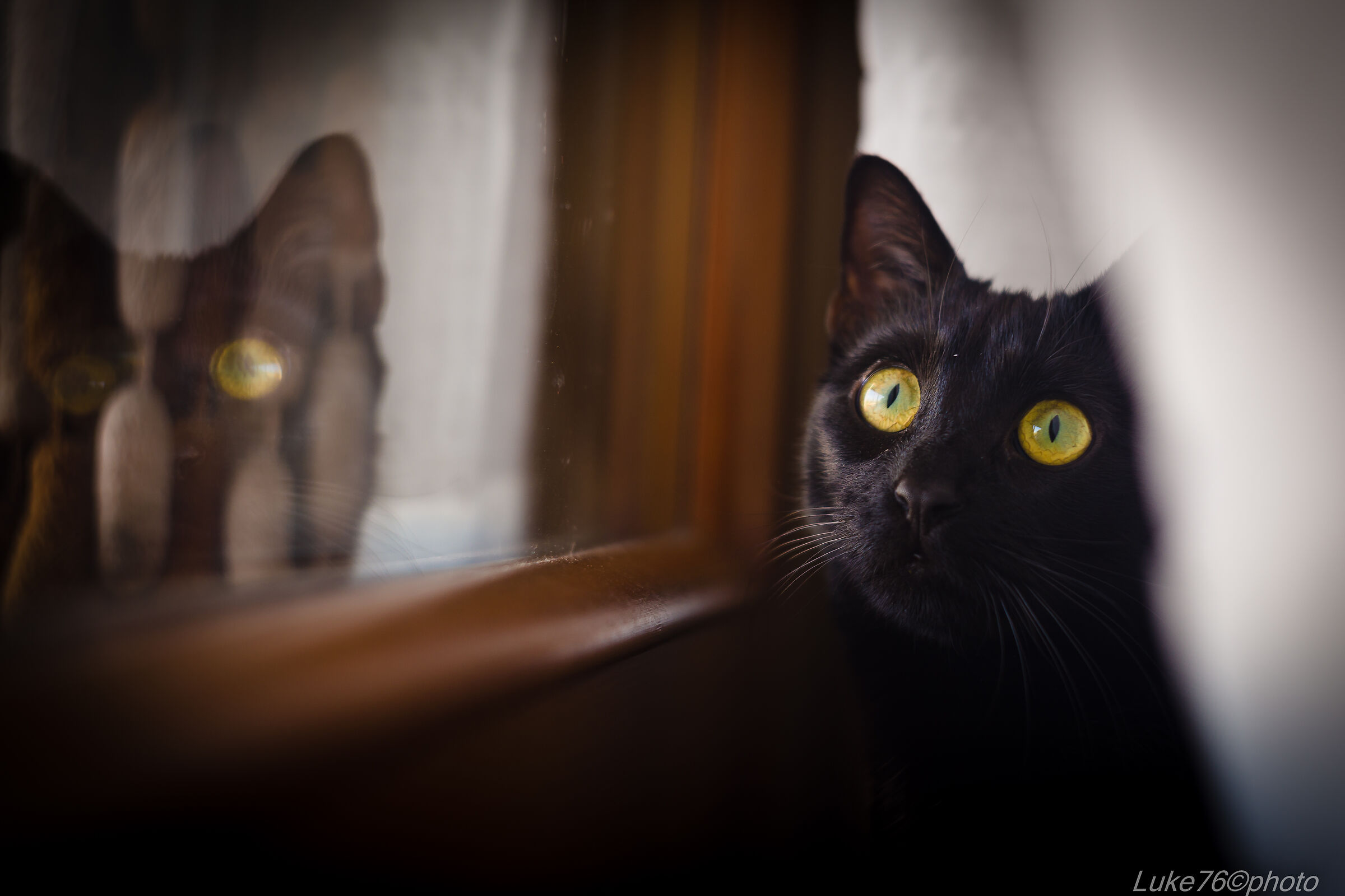 Cat eyes