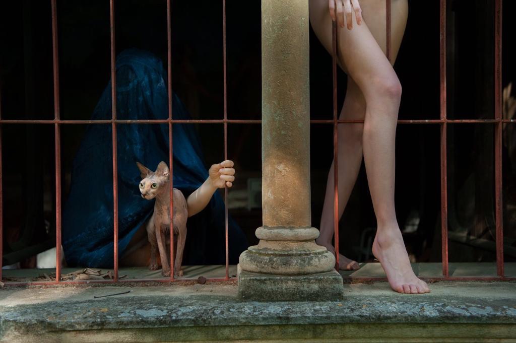 Visioni sulla libertà e la diversità