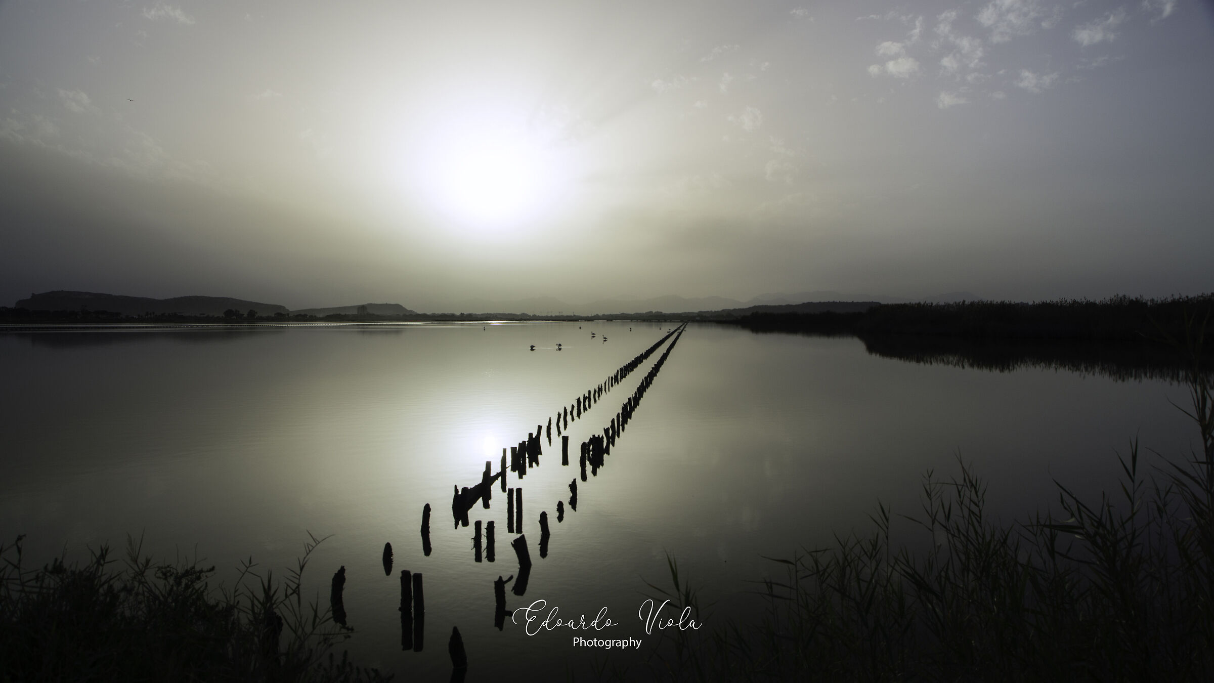 Le Saline di Molentargius - Inverno 2021- 1