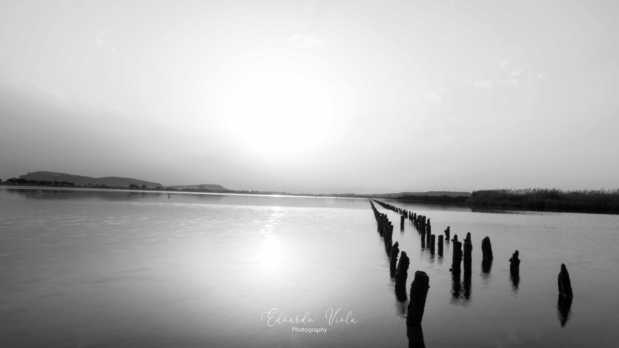 Le Saline di Molentargius - Inverno 2021 - 2