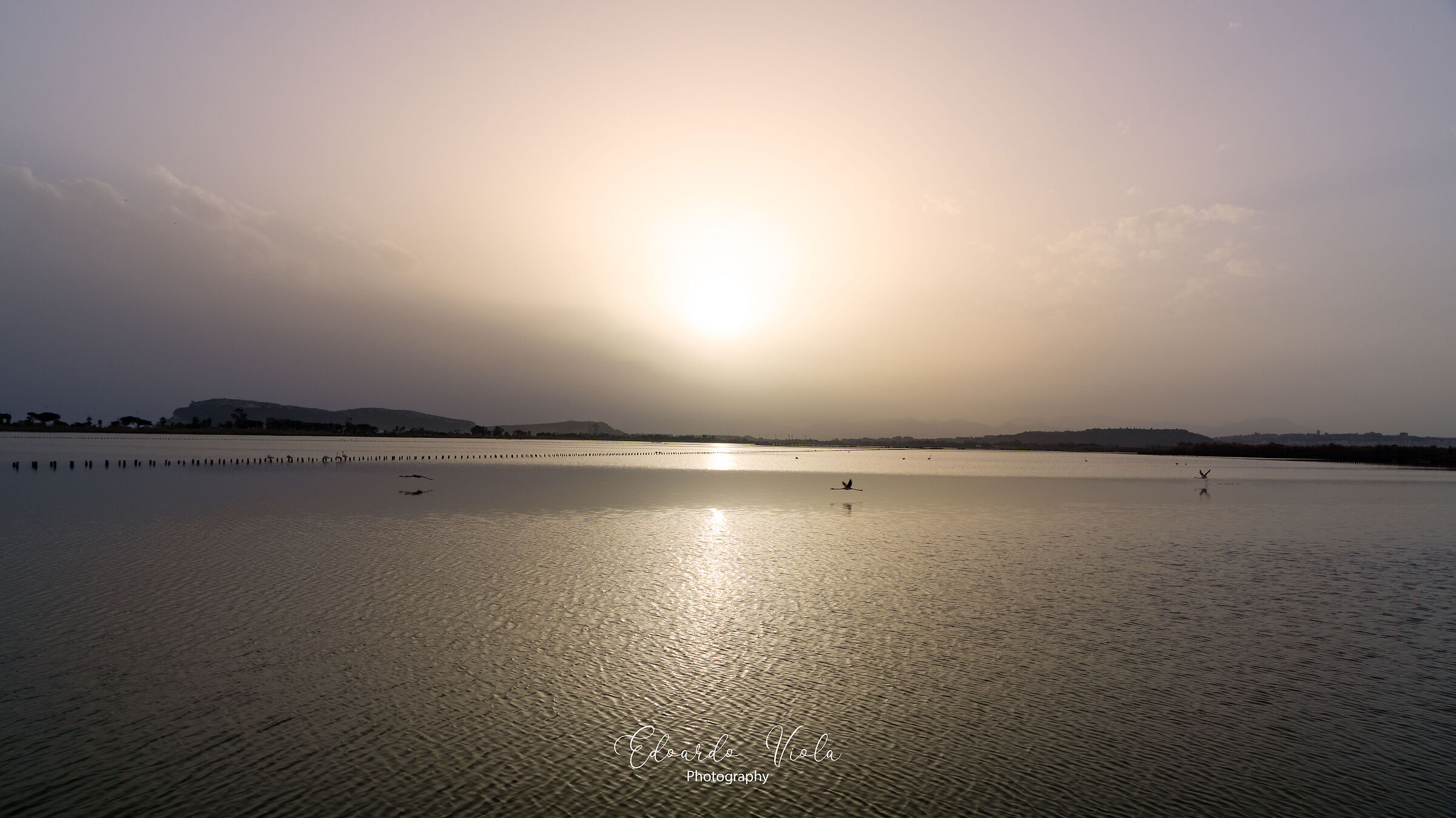 Le Saline di Molentargius - Inverno 2021