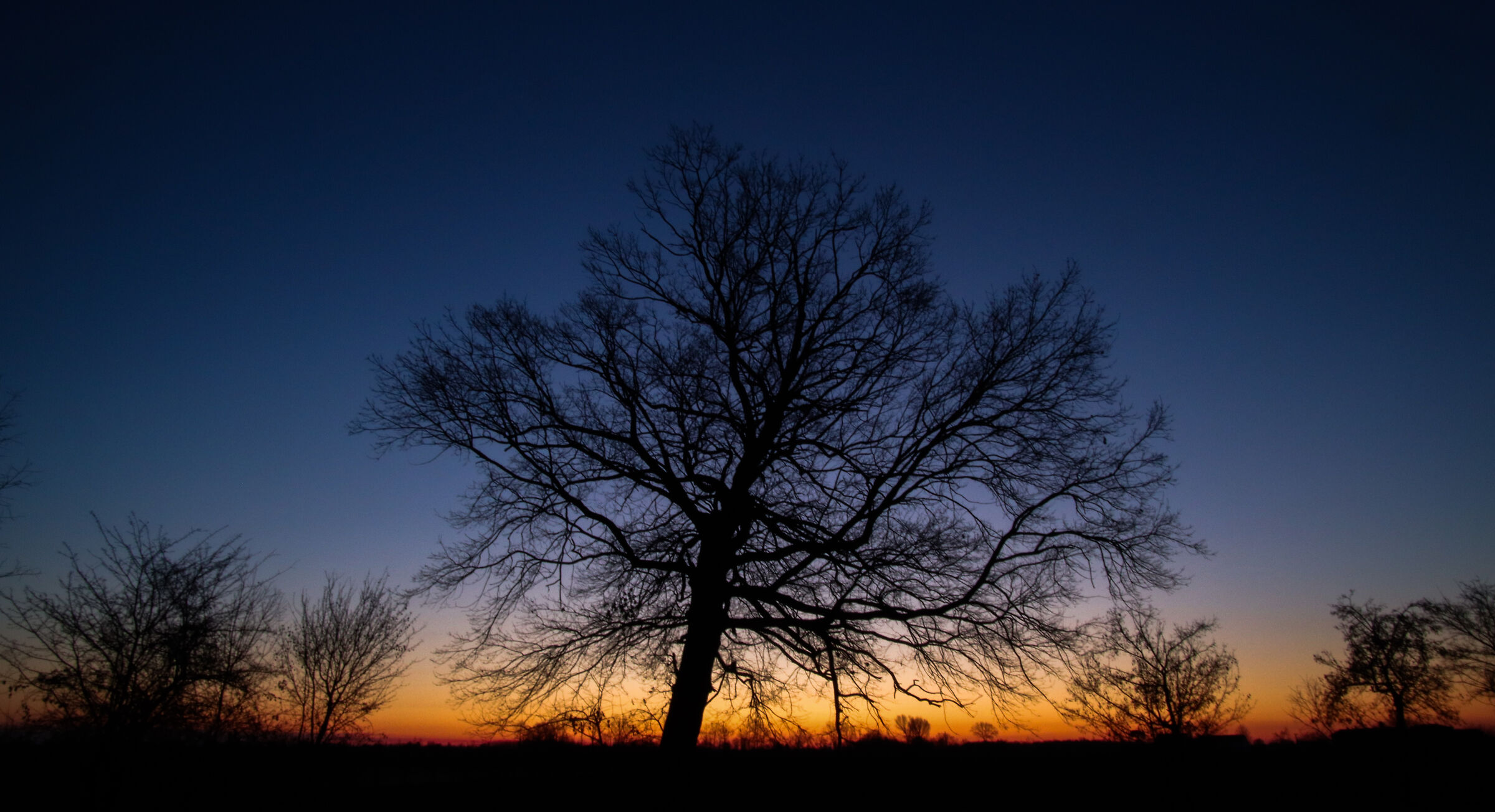 Alba