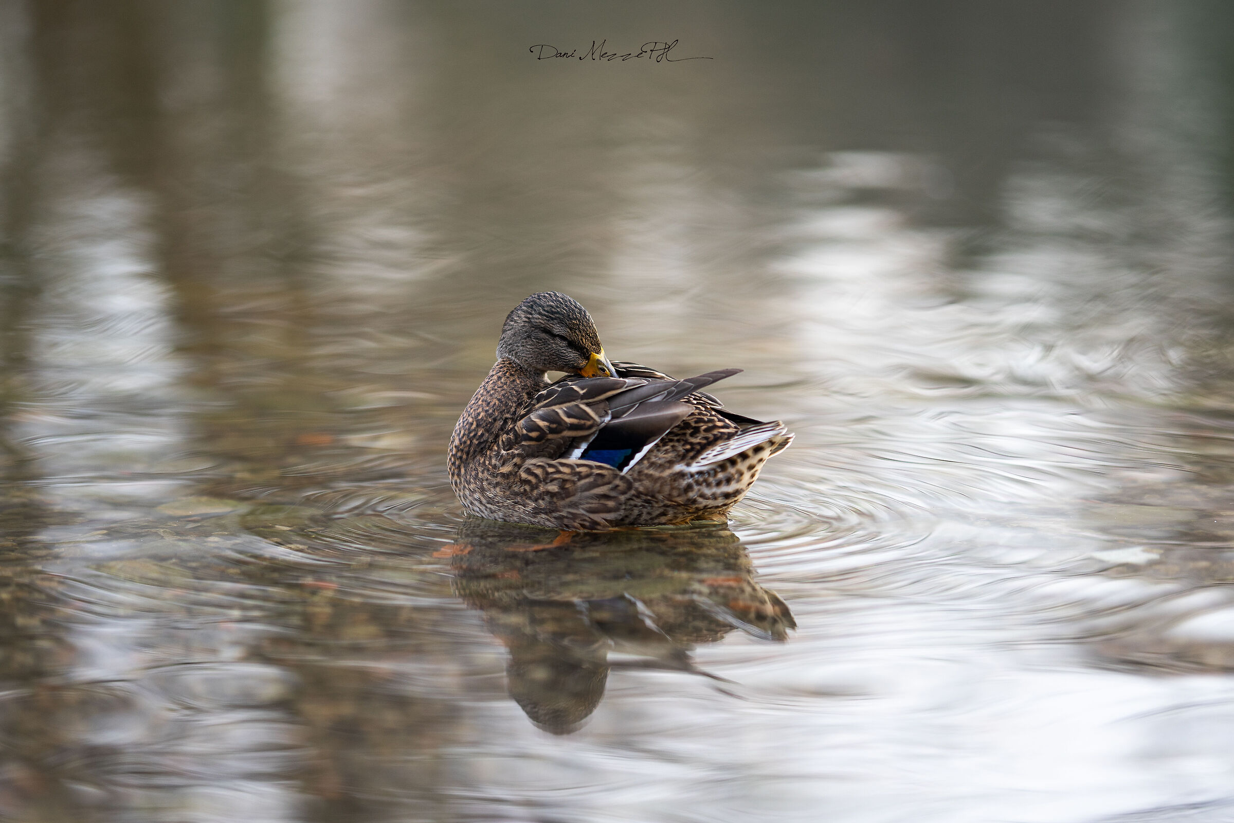 Hygiene is essential