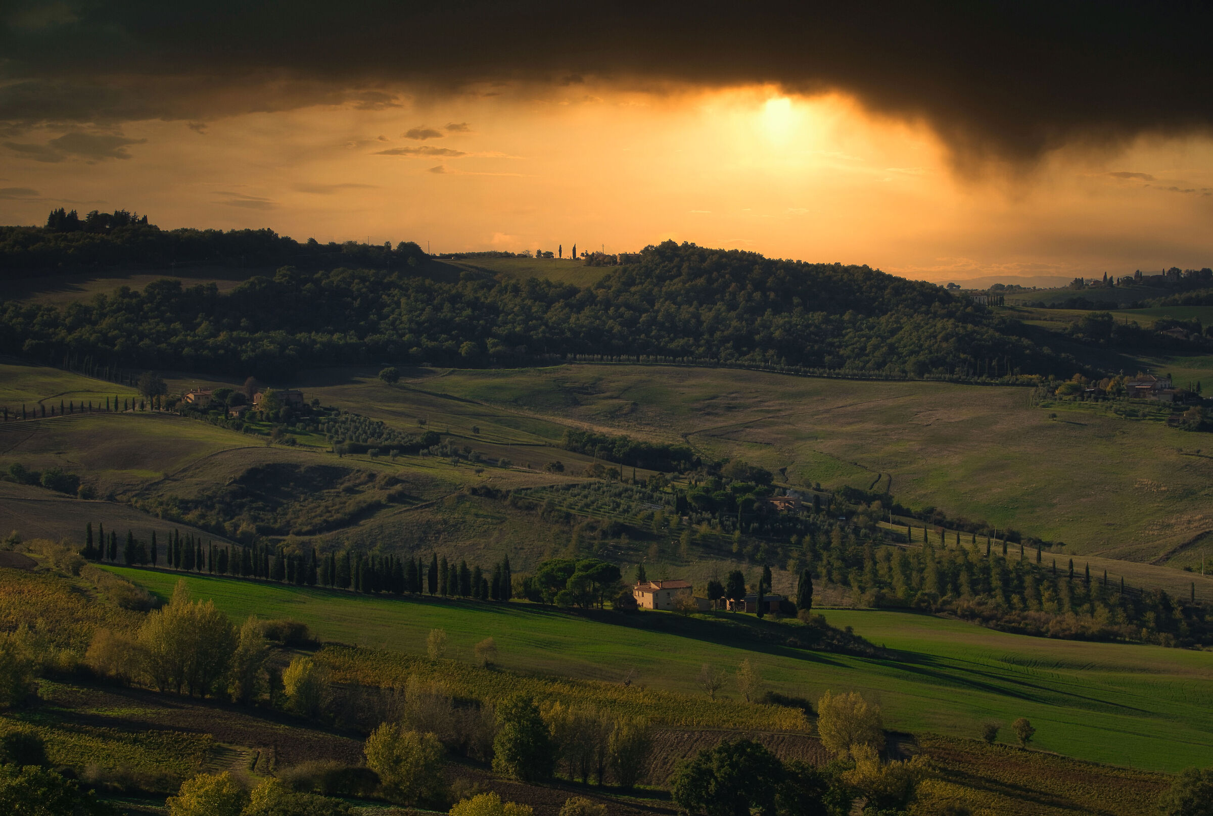 colline senesi