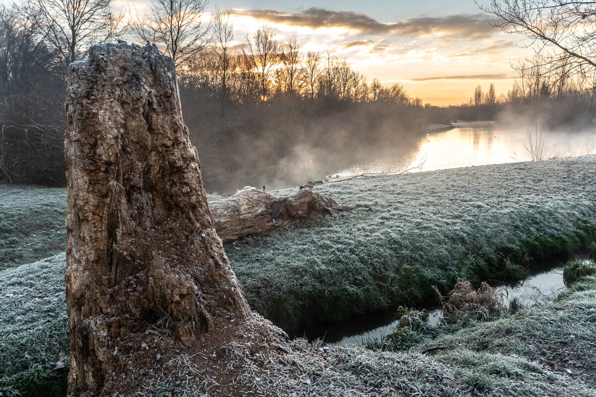 Frozen Morning III