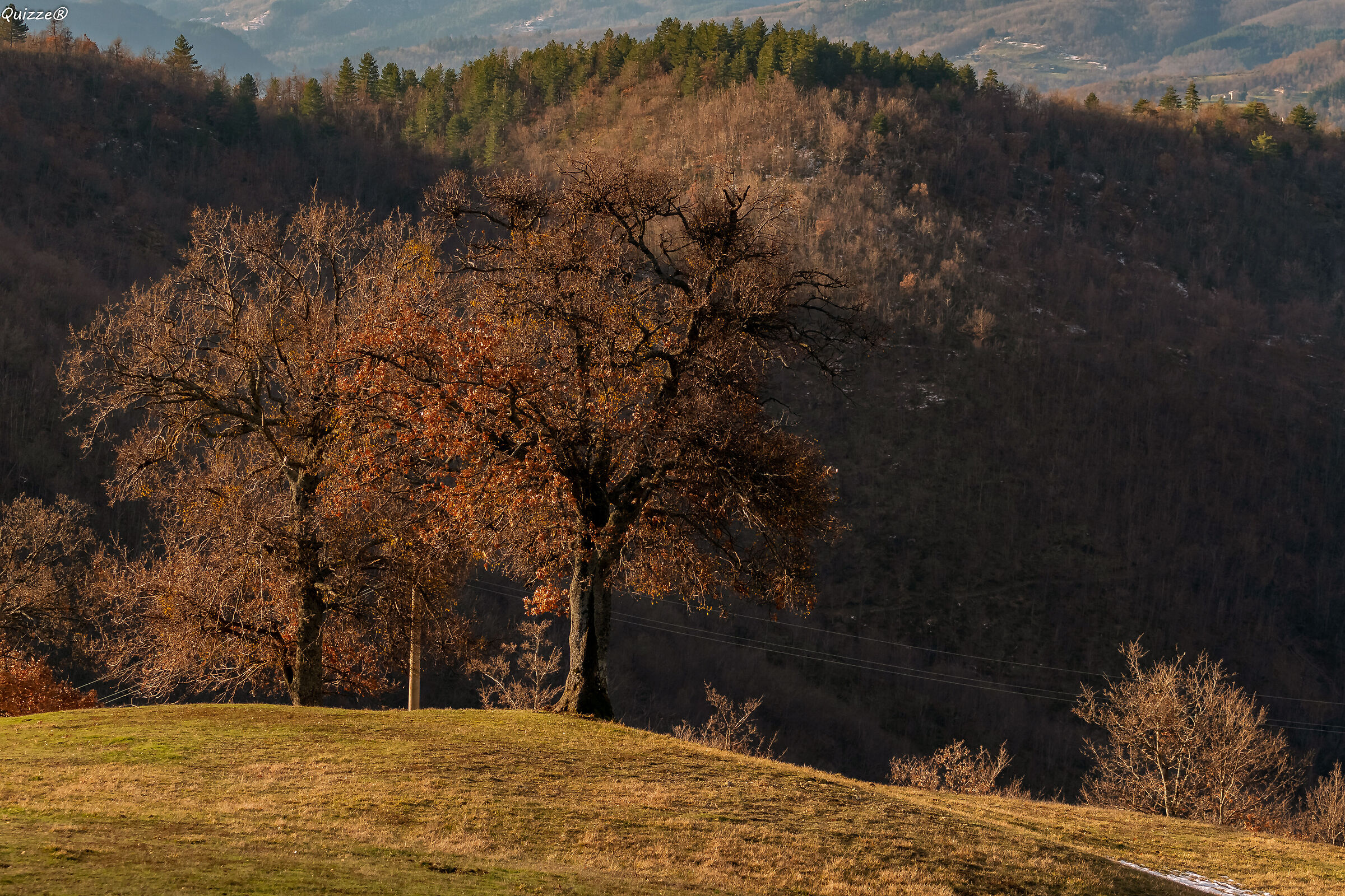 "Casentinese Landscape"