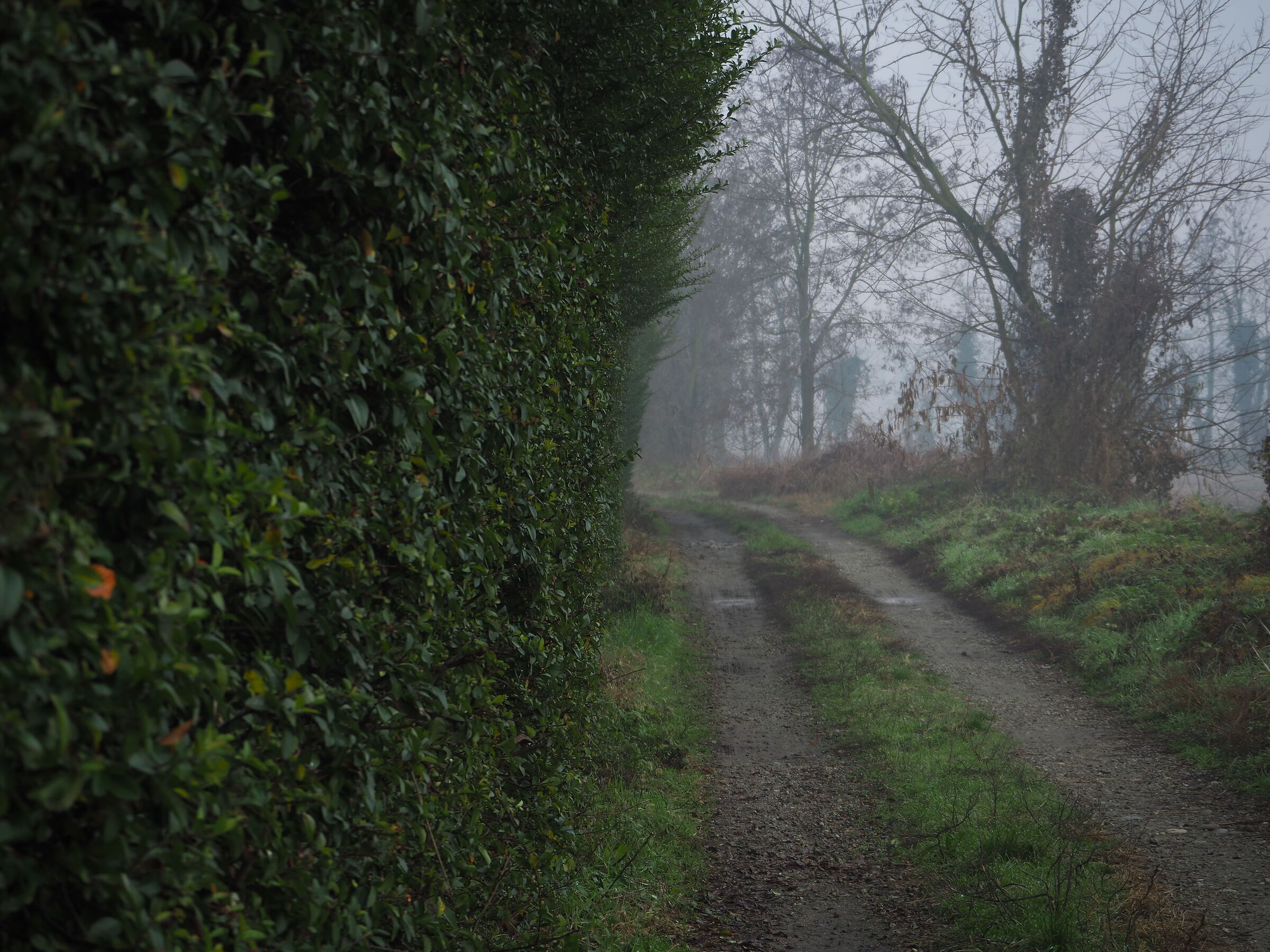 Foschia mattutina...sottoesposta