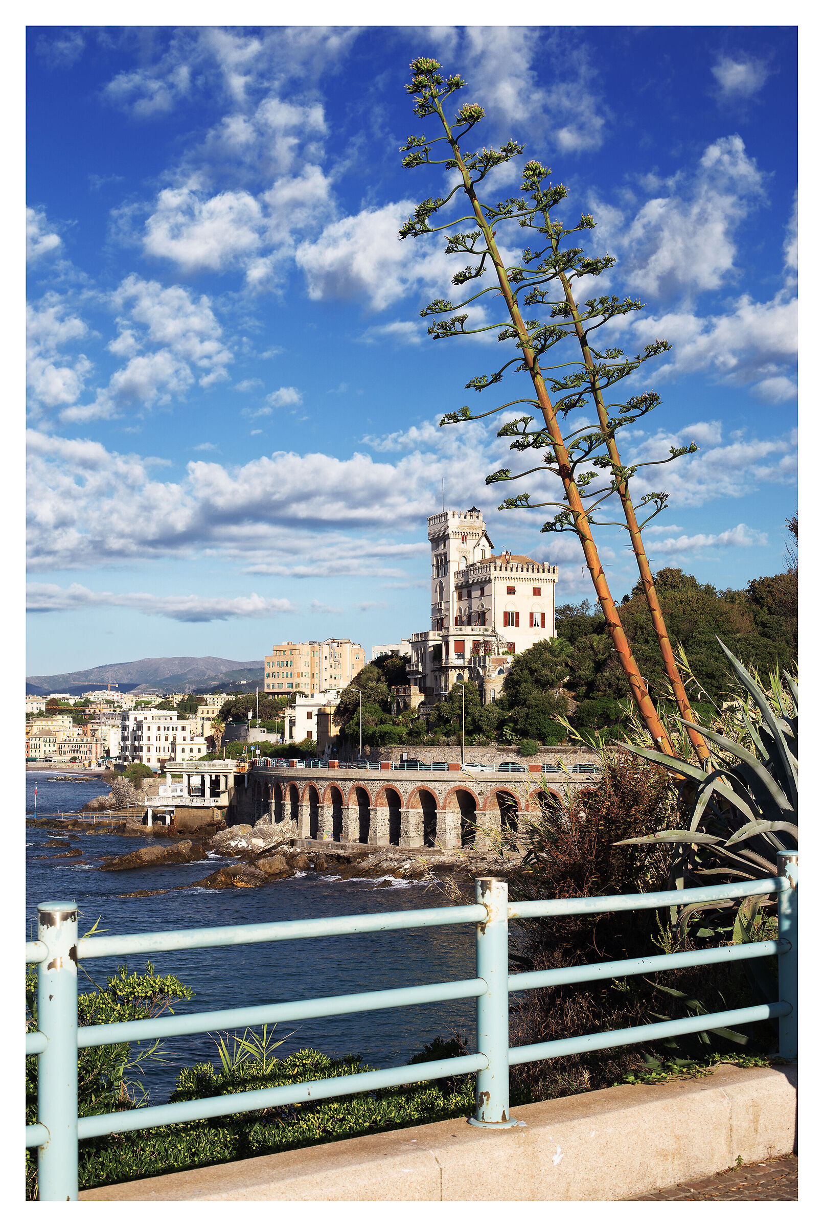 Scorci mattutini a Quarto dei mille