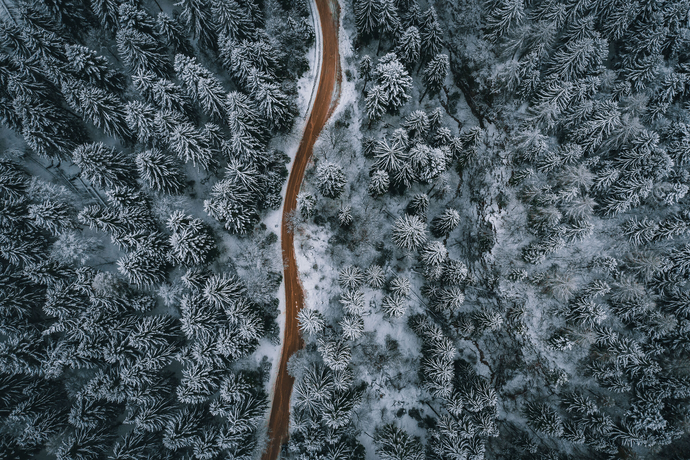 Nel freddo ecco la via